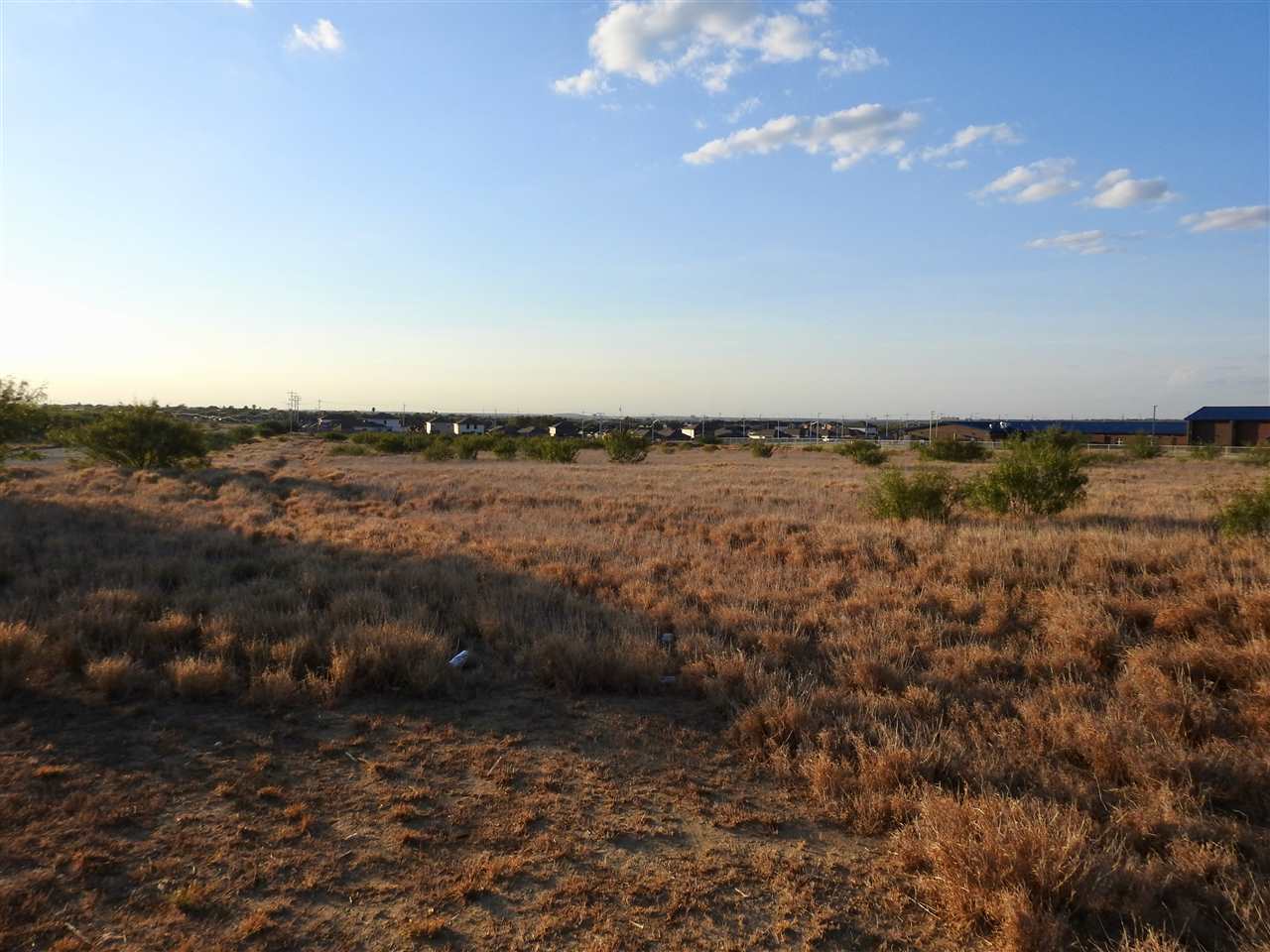 3602 Lomas Del Sur Blvd. Property Photo 4