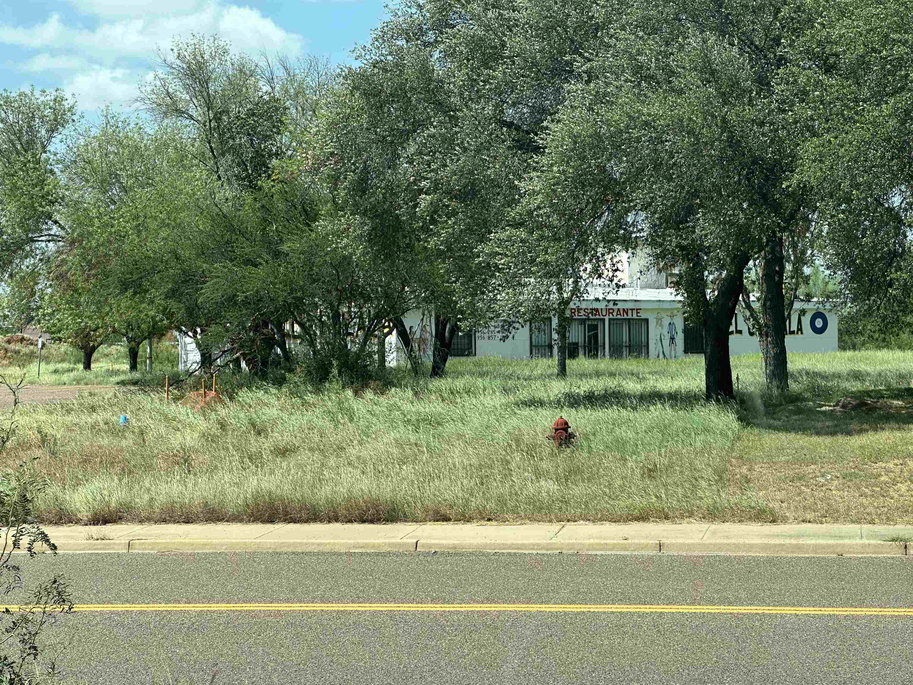 Fm 1472 La Bota Pkwy Property Photo 3