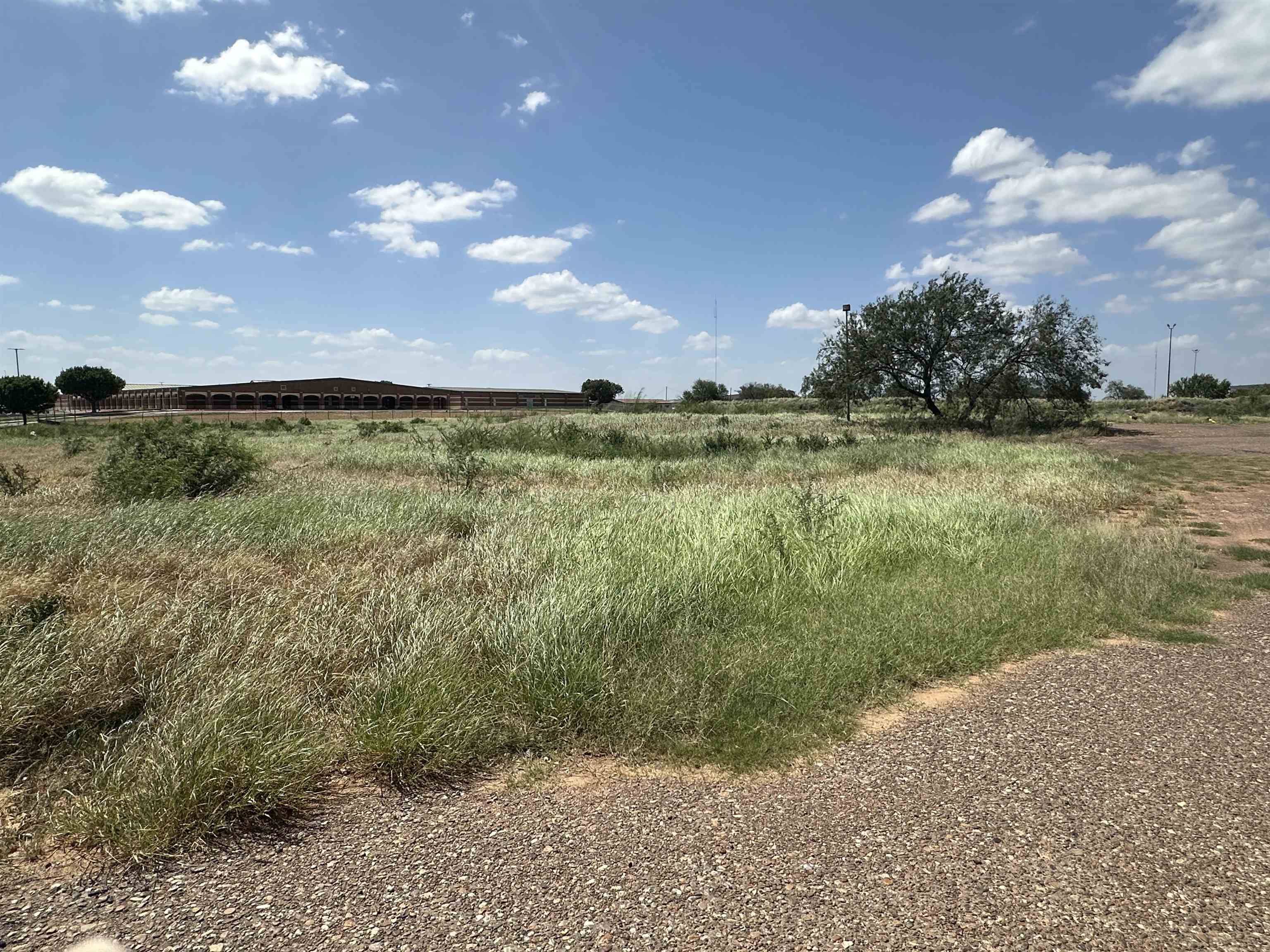 Fm 1472 La Bota Pkwy Property Photo 4