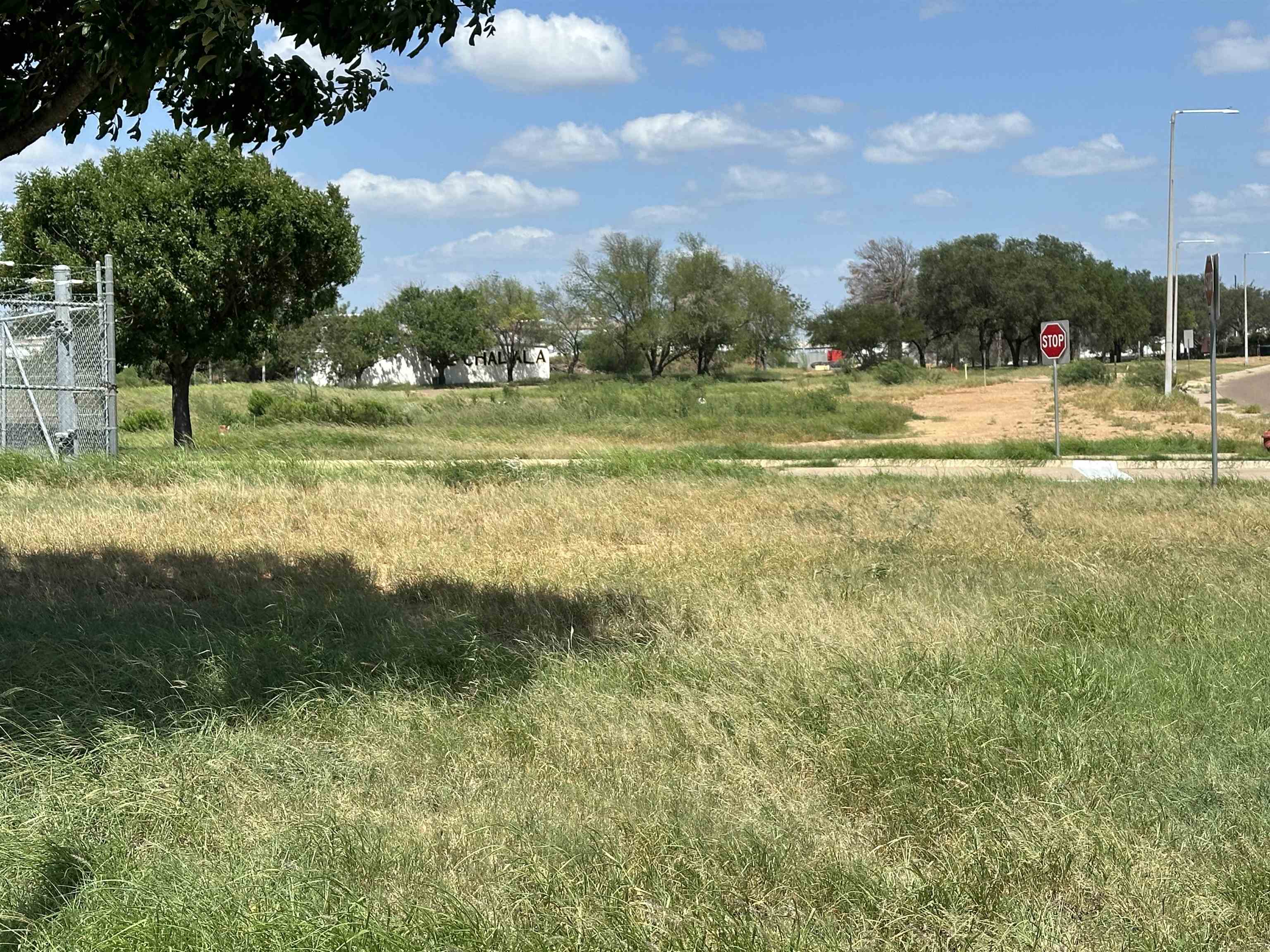 Fm 1472 La Bota Pkwy Property Photo 13