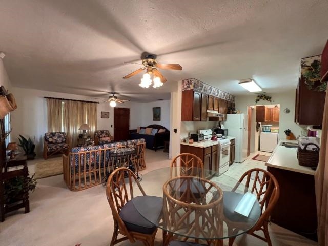 5117 Siesta Ln Property Photo 14