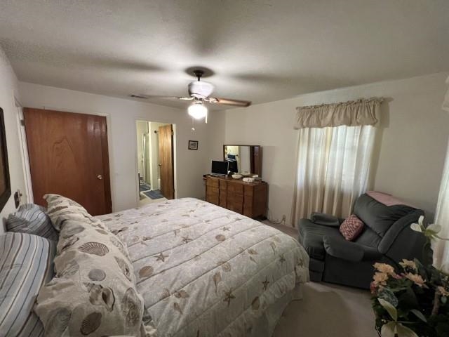 5117 Siesta Ln Property Photo 19