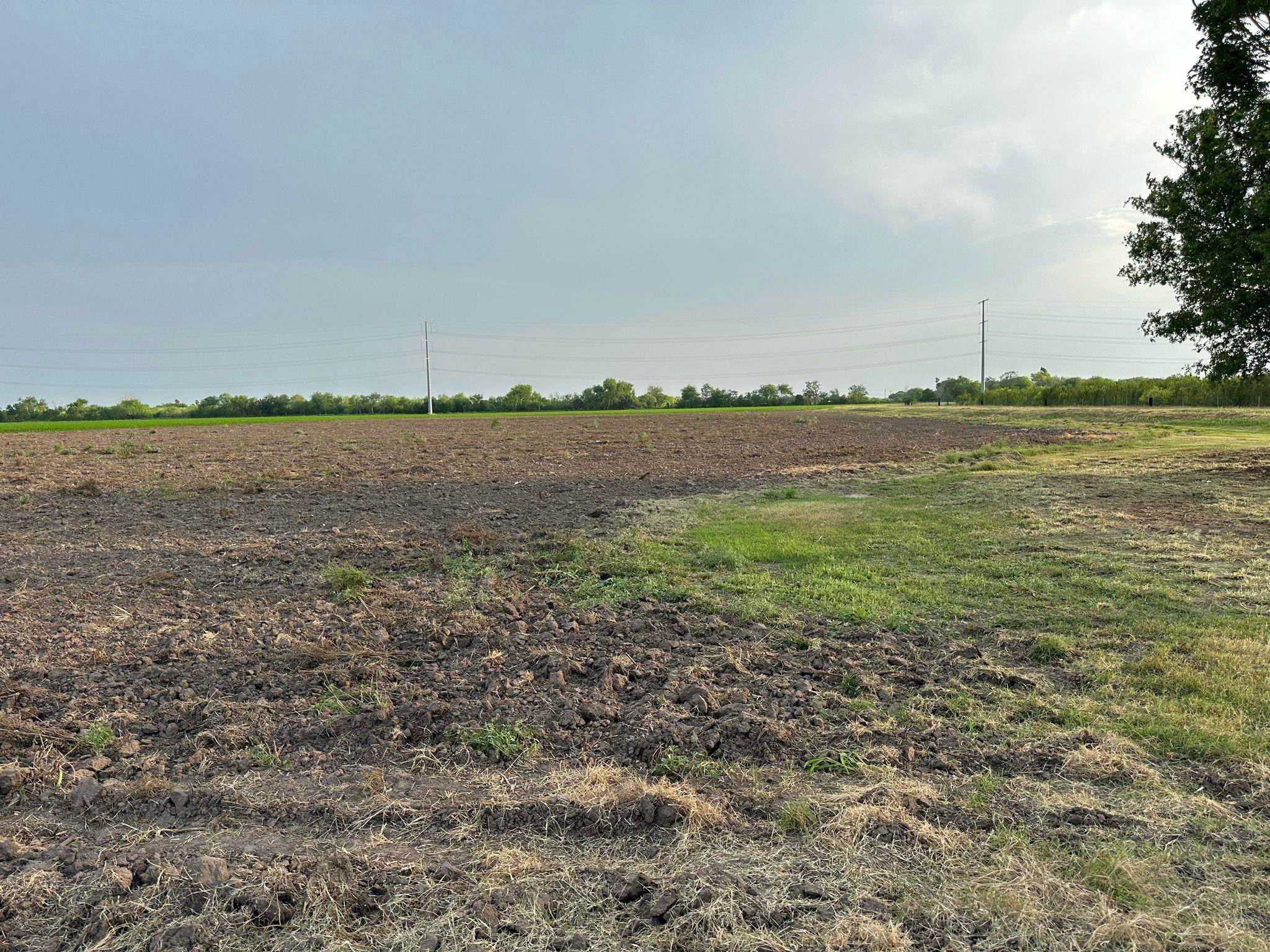 Cameron County Real Estate Listings Main Image