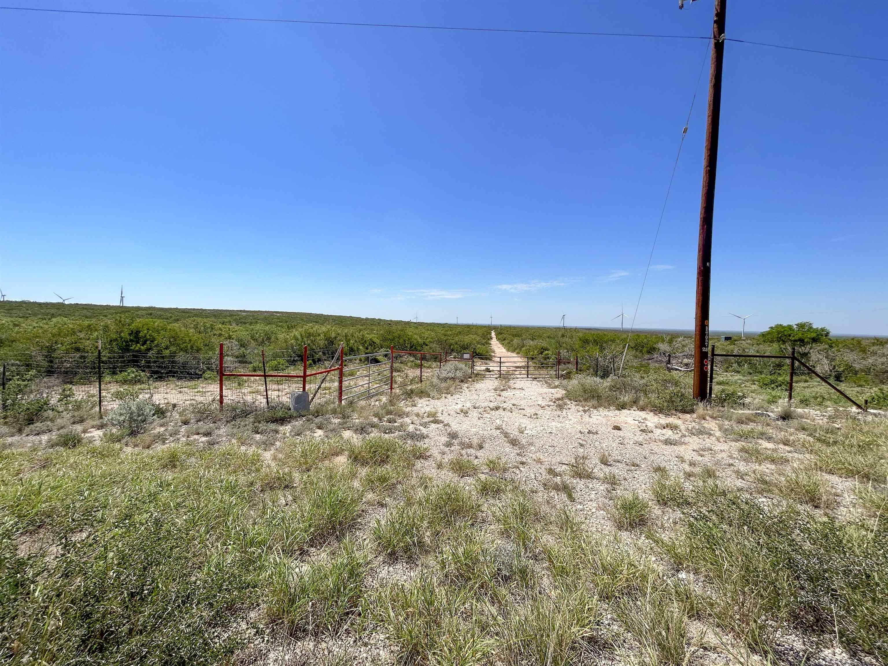 000 Abst 1393 Sur 592 Property Photo 10