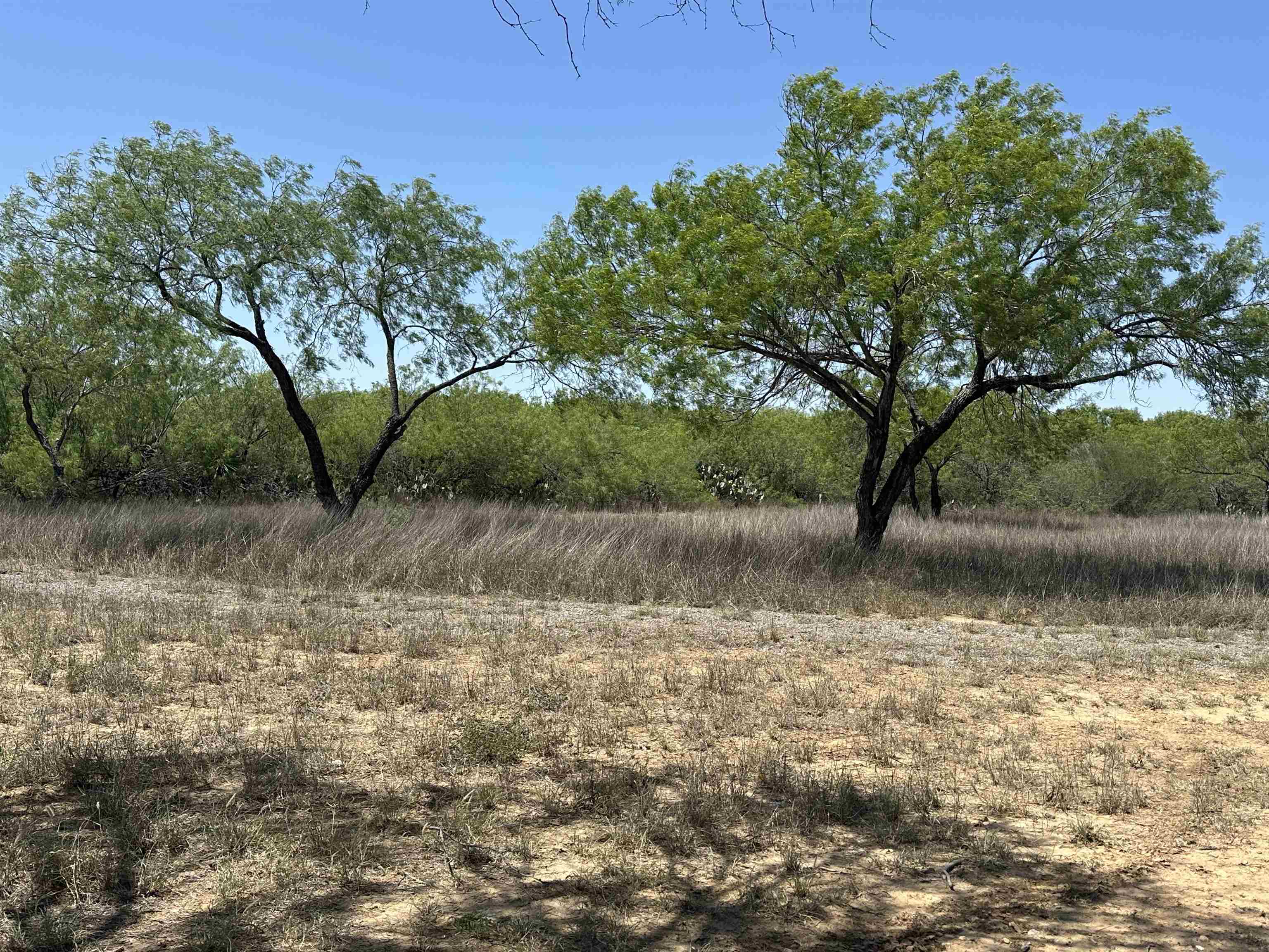 1 Well Ln Property Photo 1