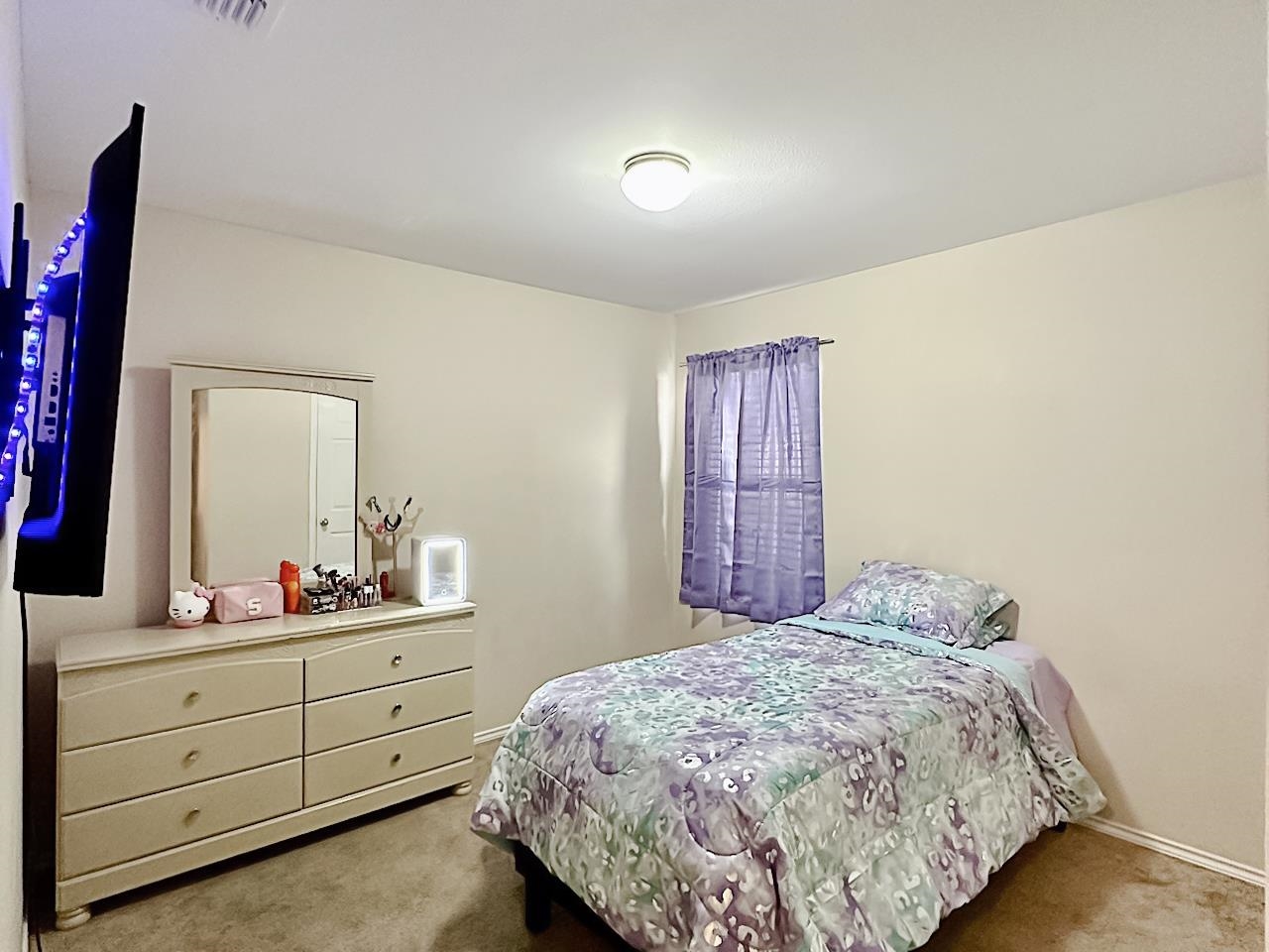 11116 Capistran Lp Property Photo 15