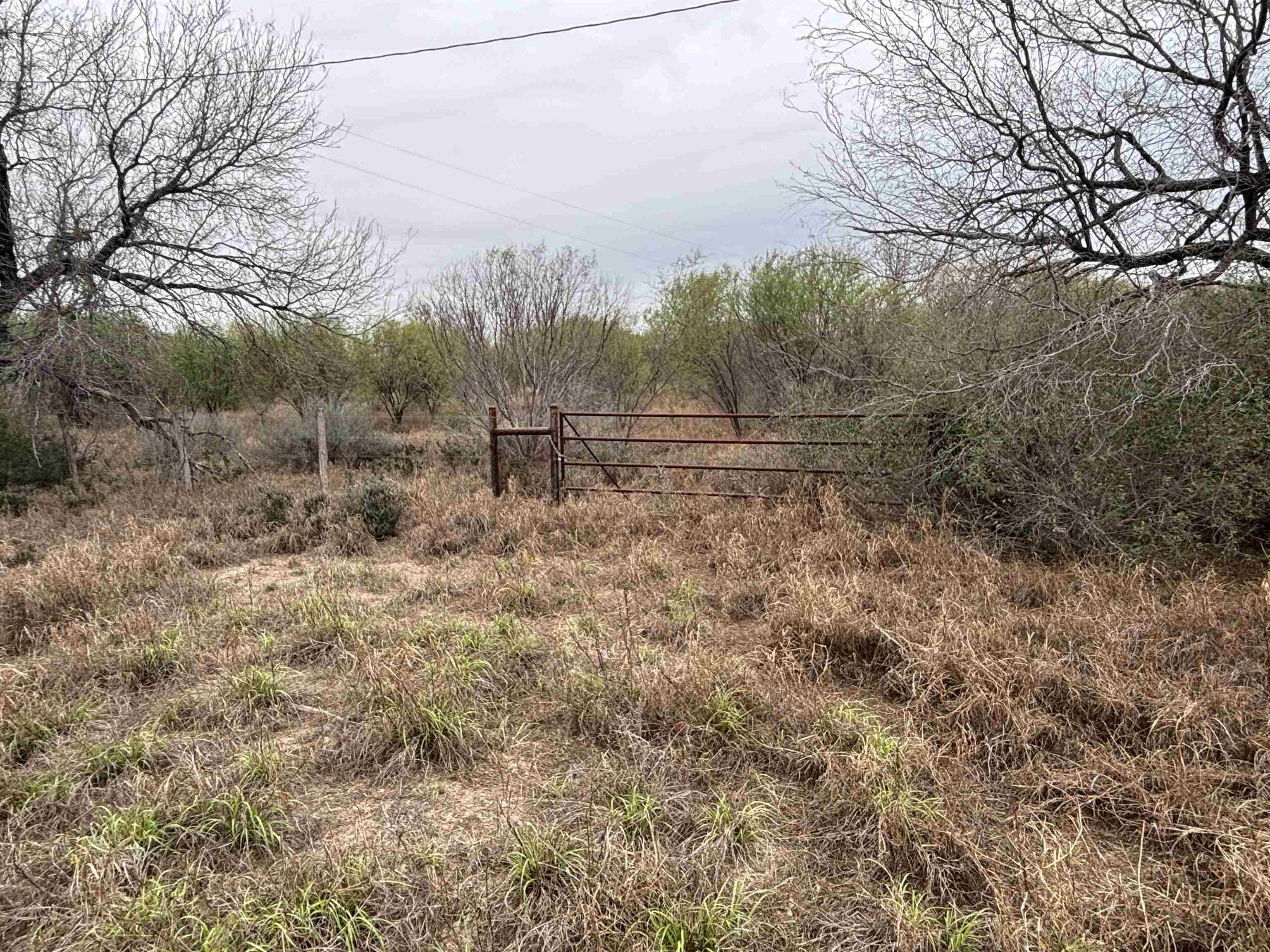 4796 N U.s. Hwy 83 Property Photo 1