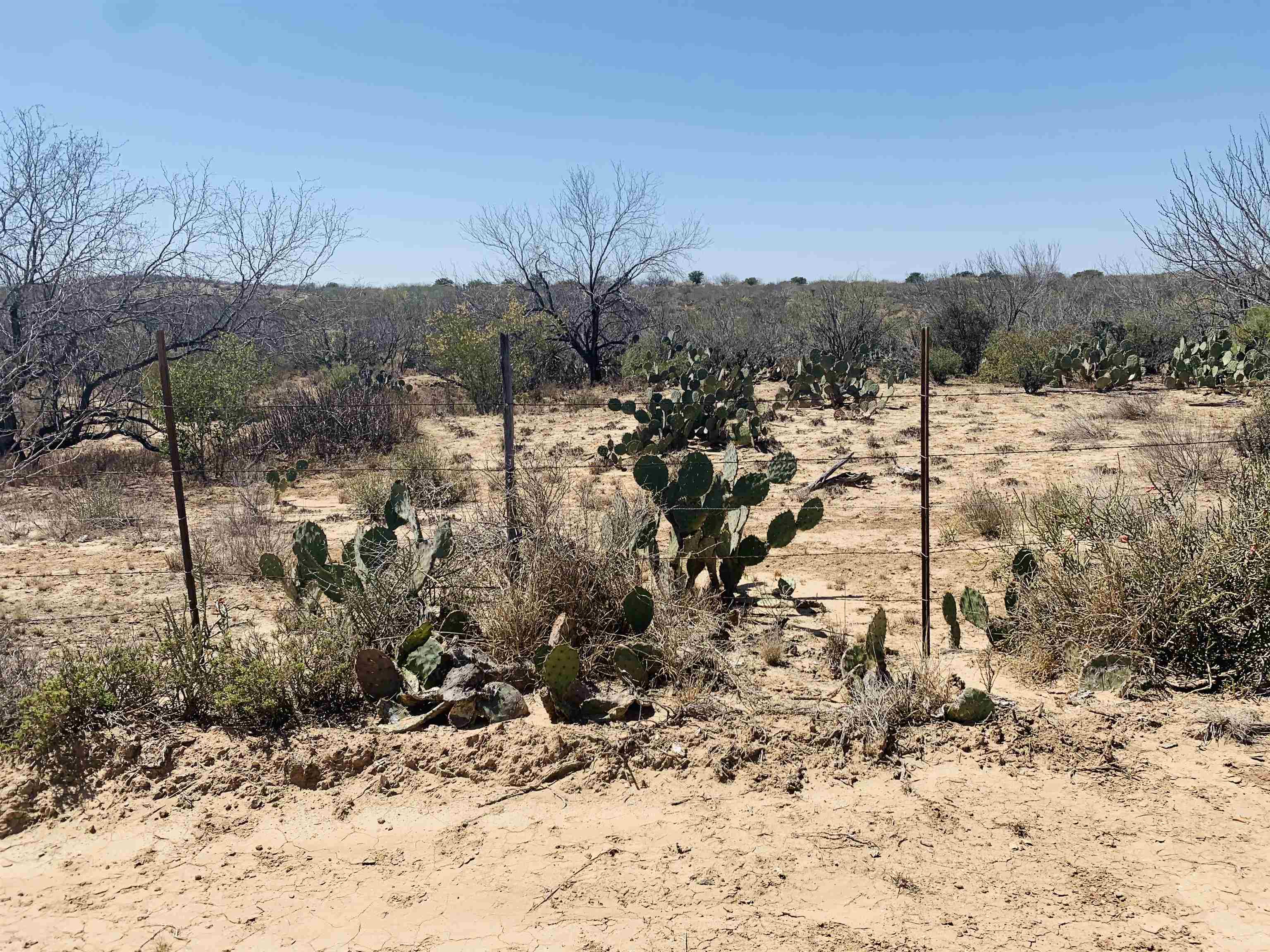 3459 N U.s. Hwy 83 Property Photo 3