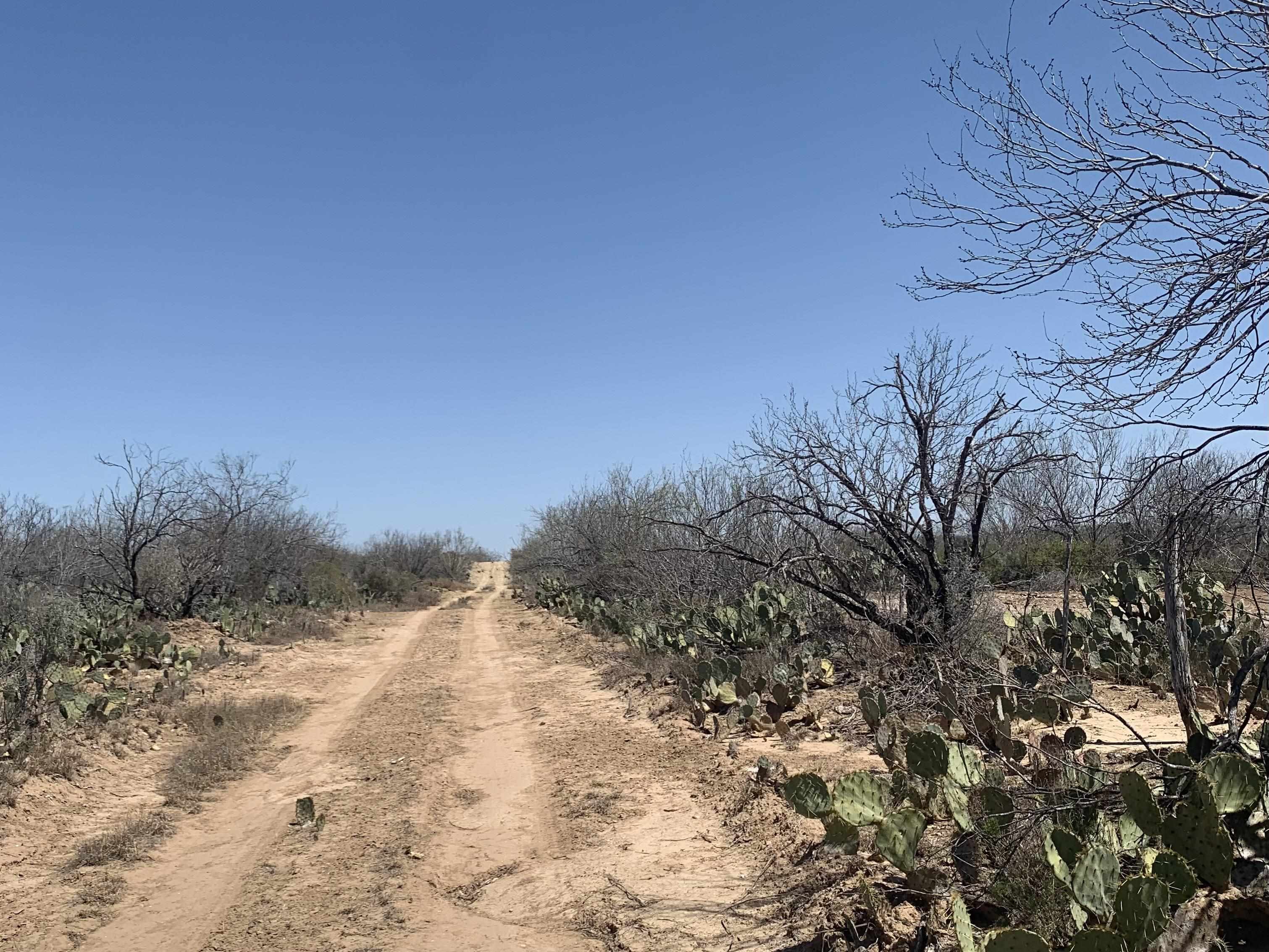 3459 N U.s. Hwy 83 Property Photo 5