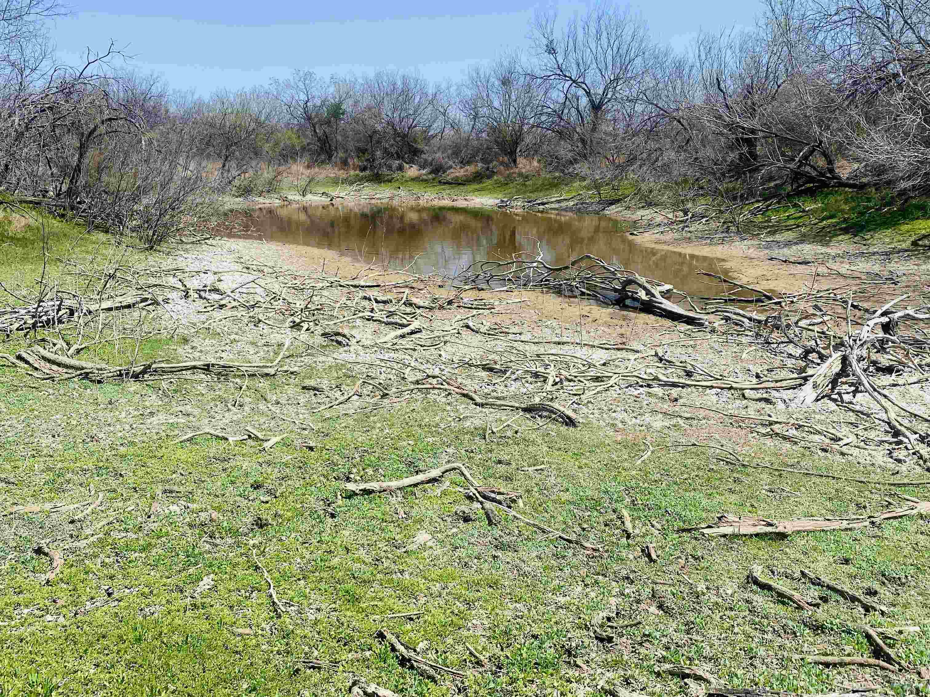 3459 N U.s. Hwy 83 Property Photo 6
