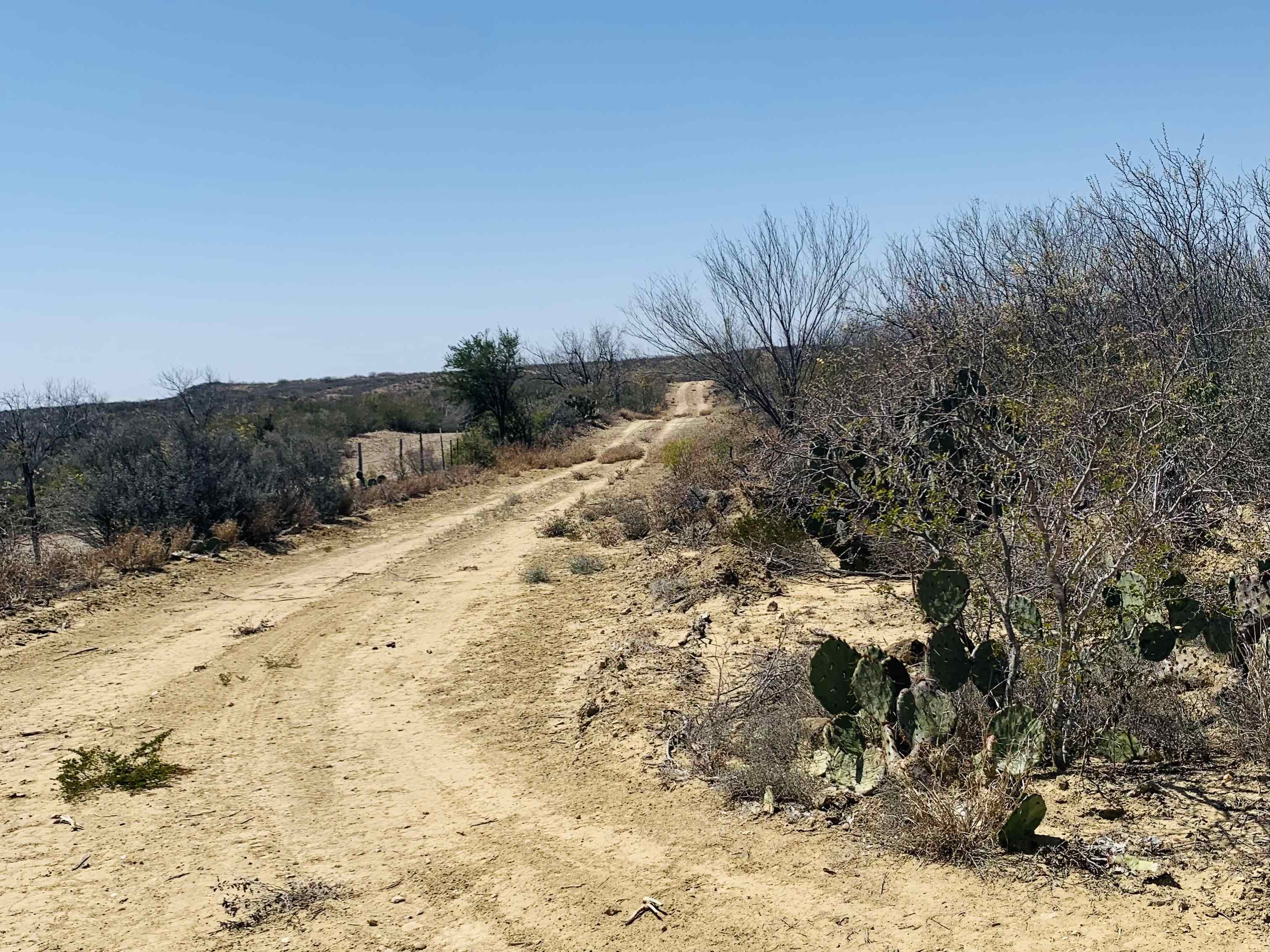 3459 N U.s. Hwy 83 Property Photo 7