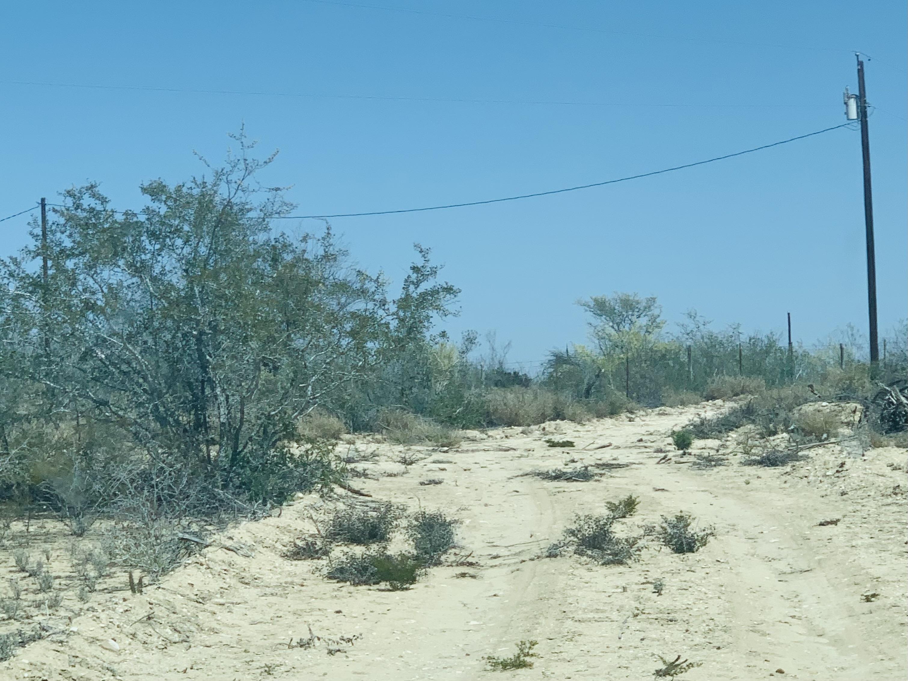 3459 N U.s. Hwy 83 Property Photo 10