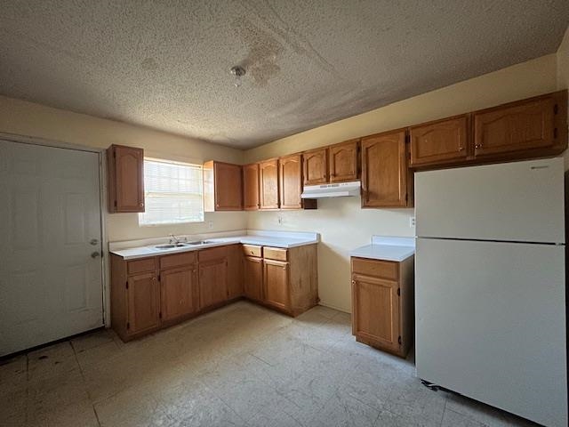 1446 Orquidia Ln E Property Photo 15
