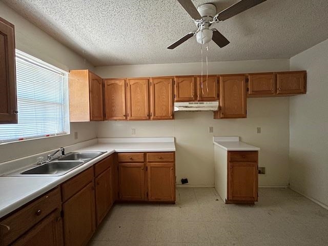1446 Orquidia Ln E Property Photo 28