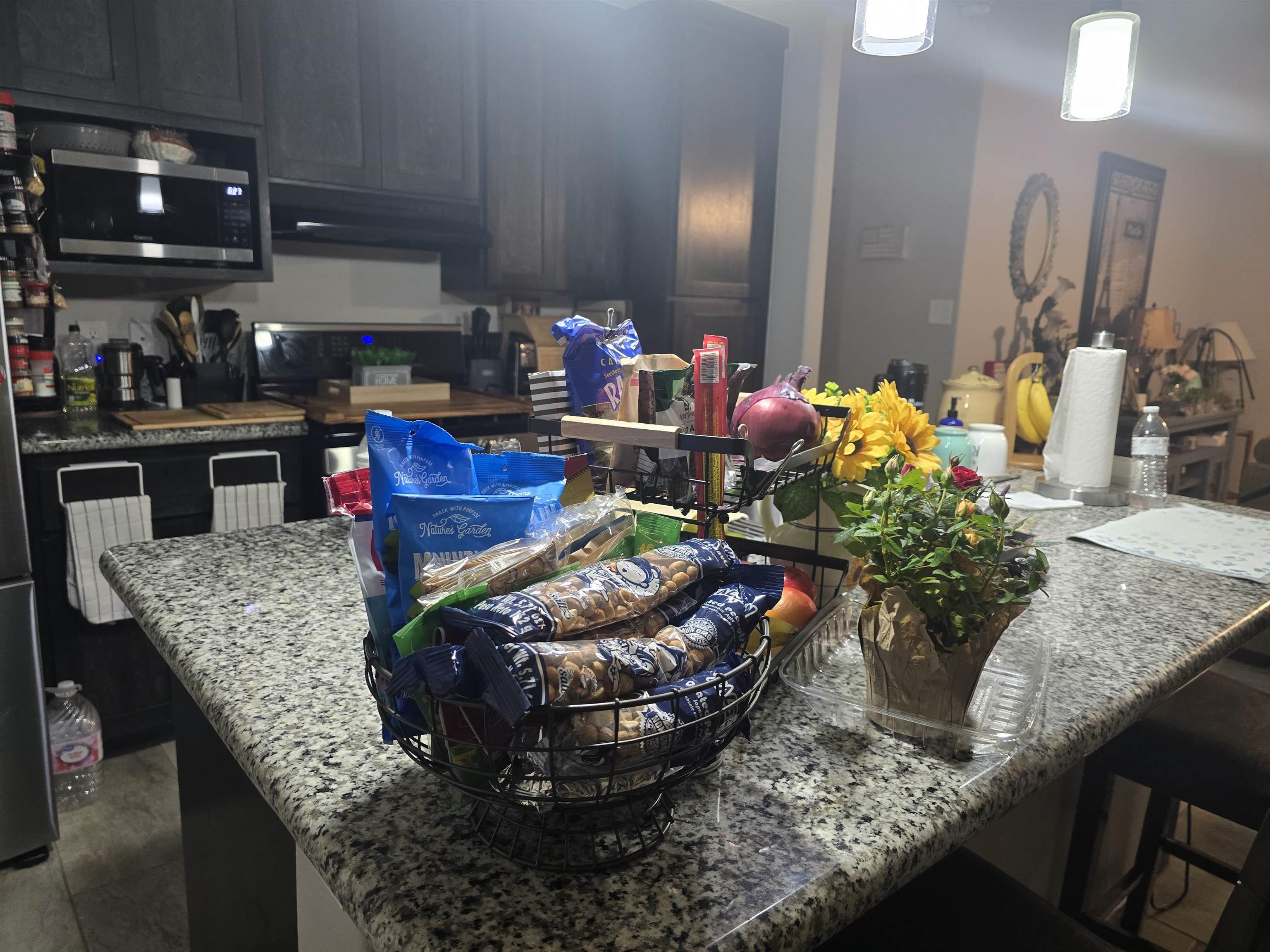 1507 Tesis Dr. Property Photo 8