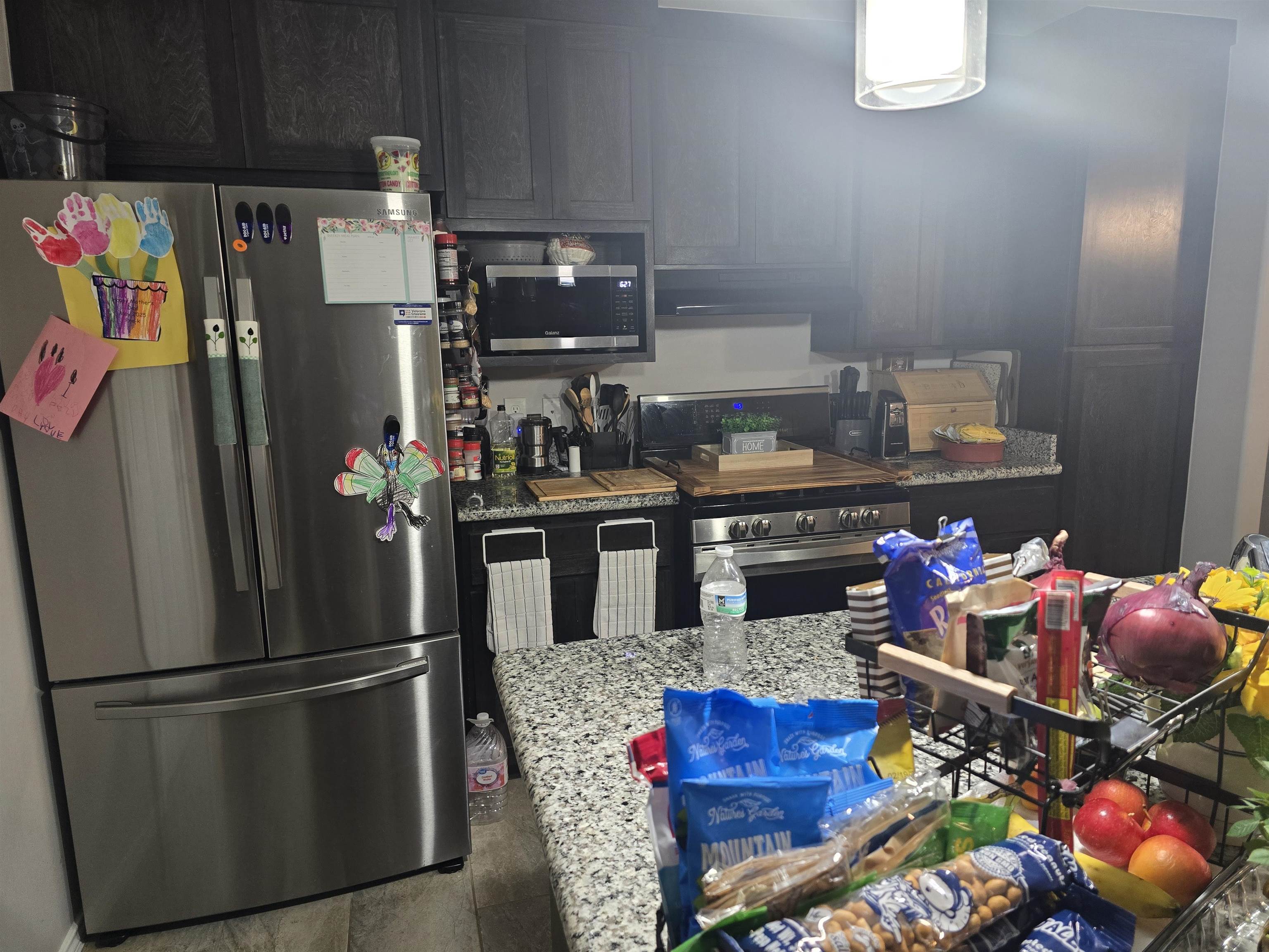 1507 Tesis Dr. Property Photo 9
