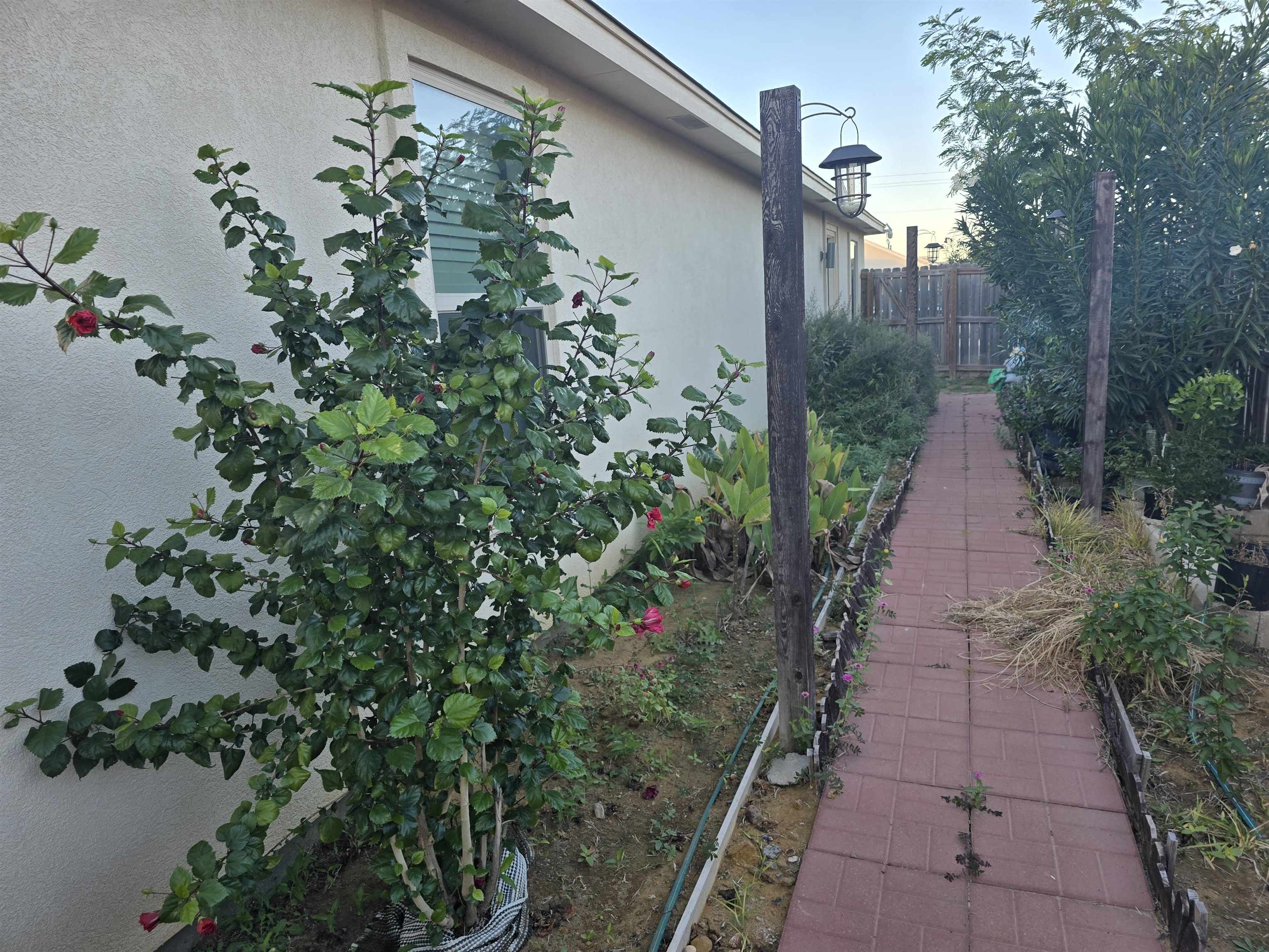 1507 Tesis Dr. Property Photo 20