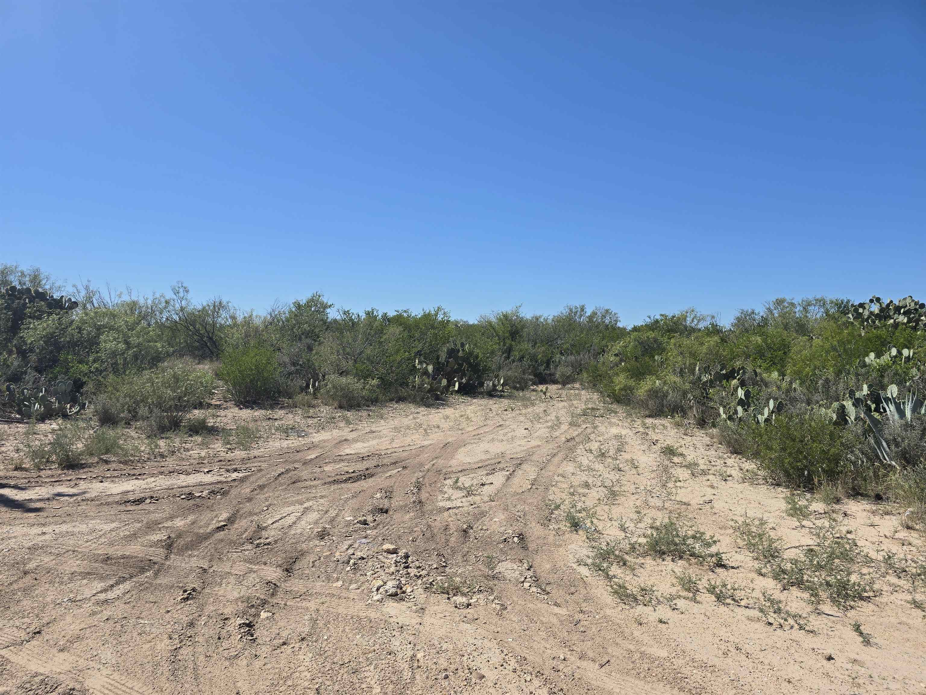 Abst 1293 Sur 1739 Property Photo 1