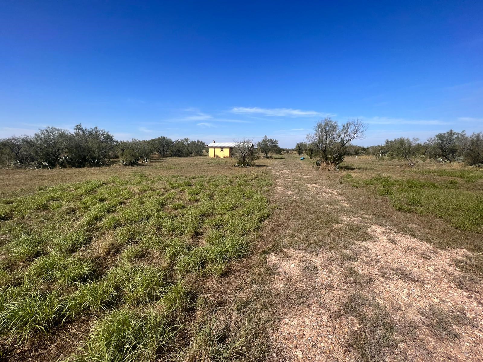202 Camino Bolivar Property Photo 2