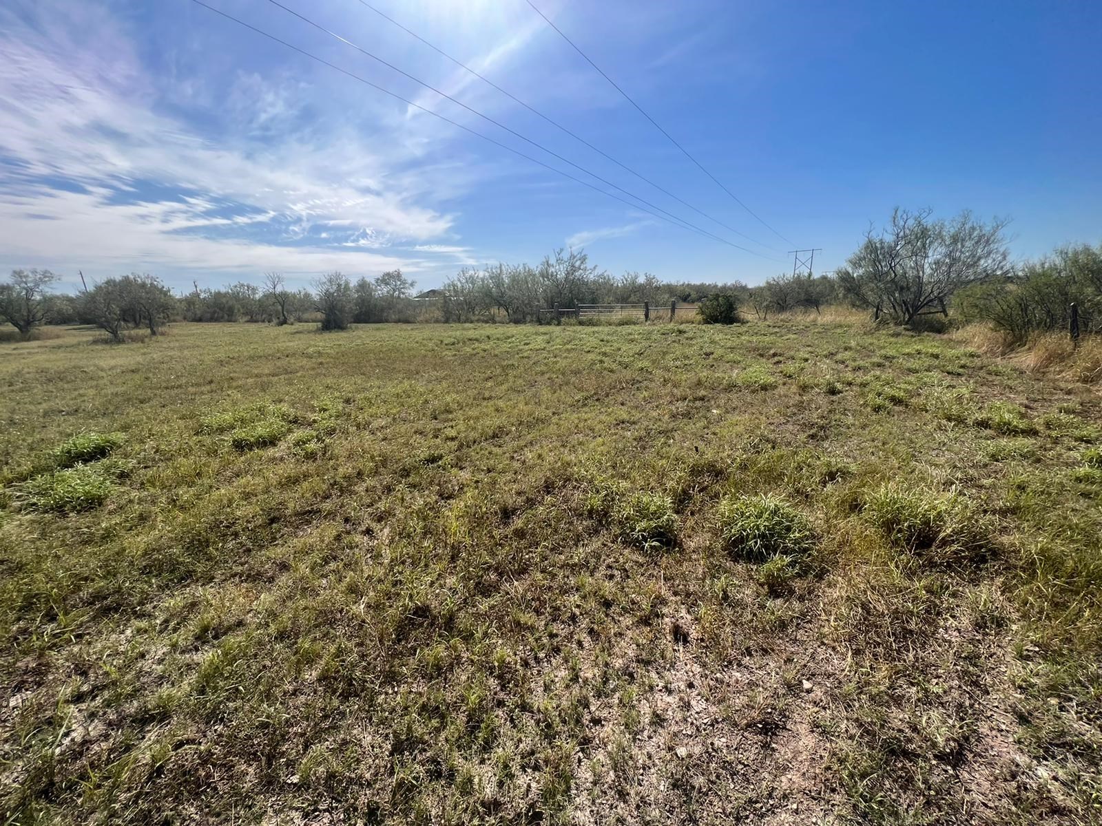 204 Camino Bolivar Property Photo 3