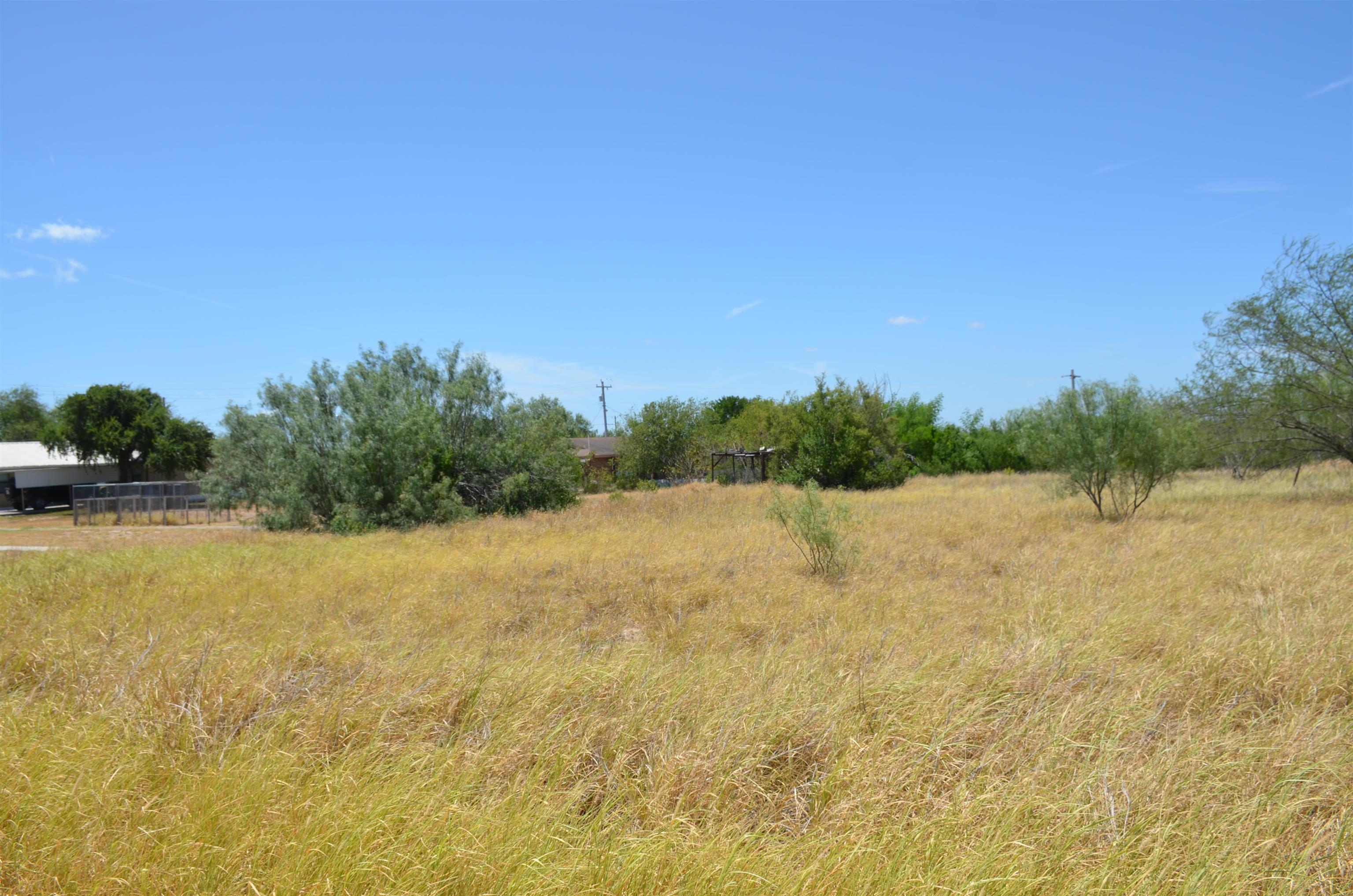 3024 S Us Highway 83 Property Photo 2