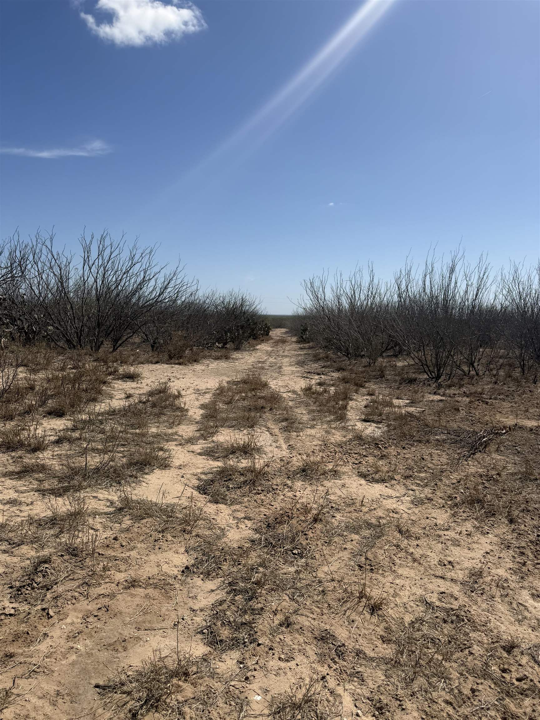 000 Ranch Rd Property Photo 11