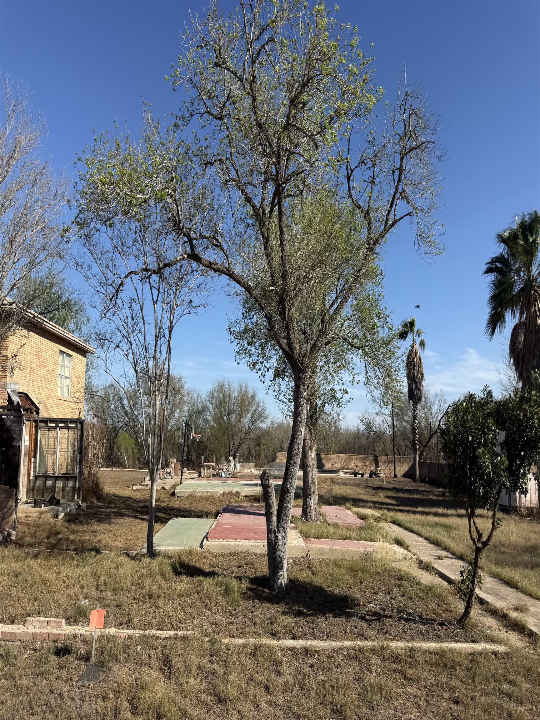 1023 Avenue G Property Photo 2