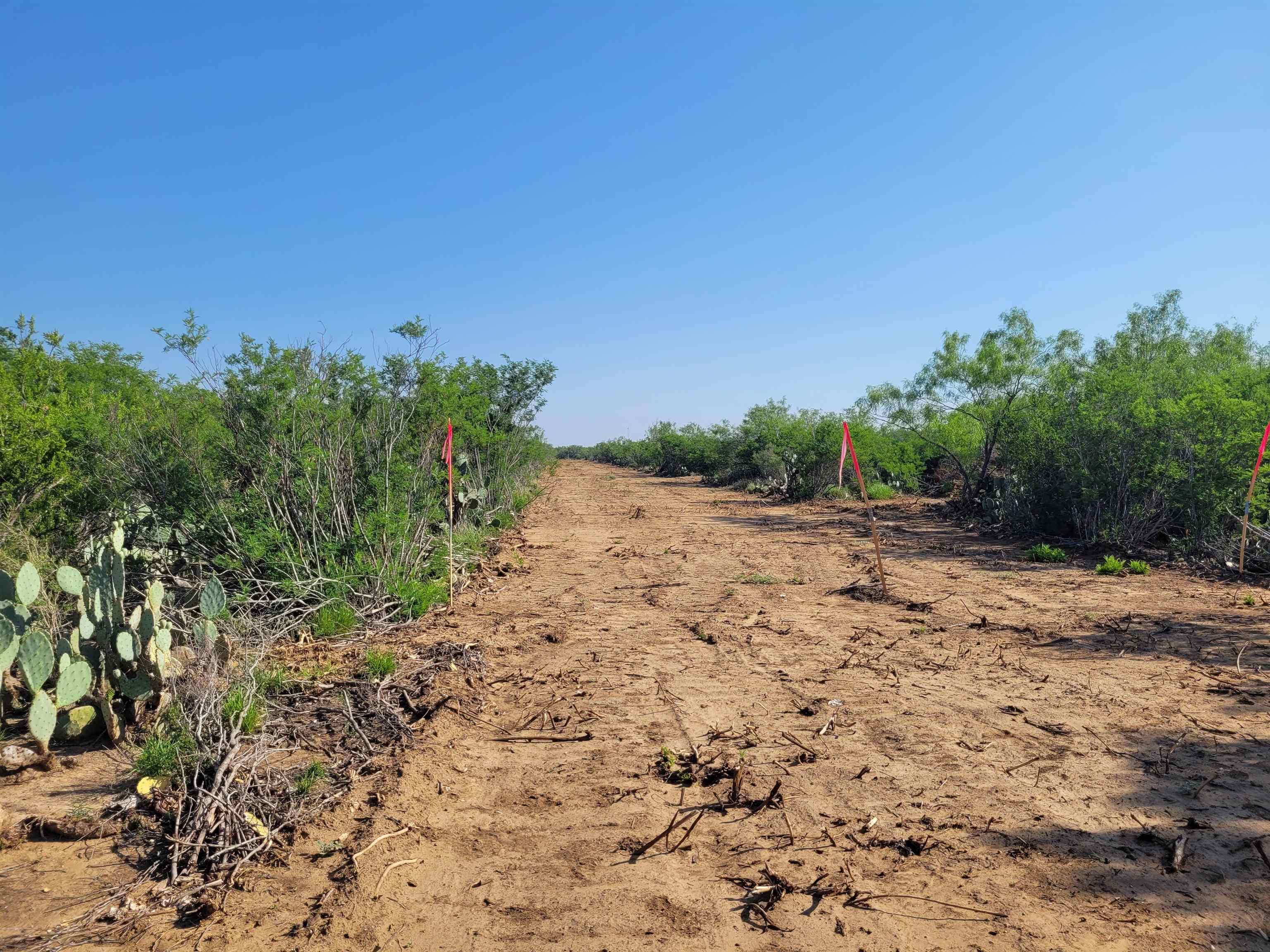 1000 U.s. Hwy 83 Property Photo 6