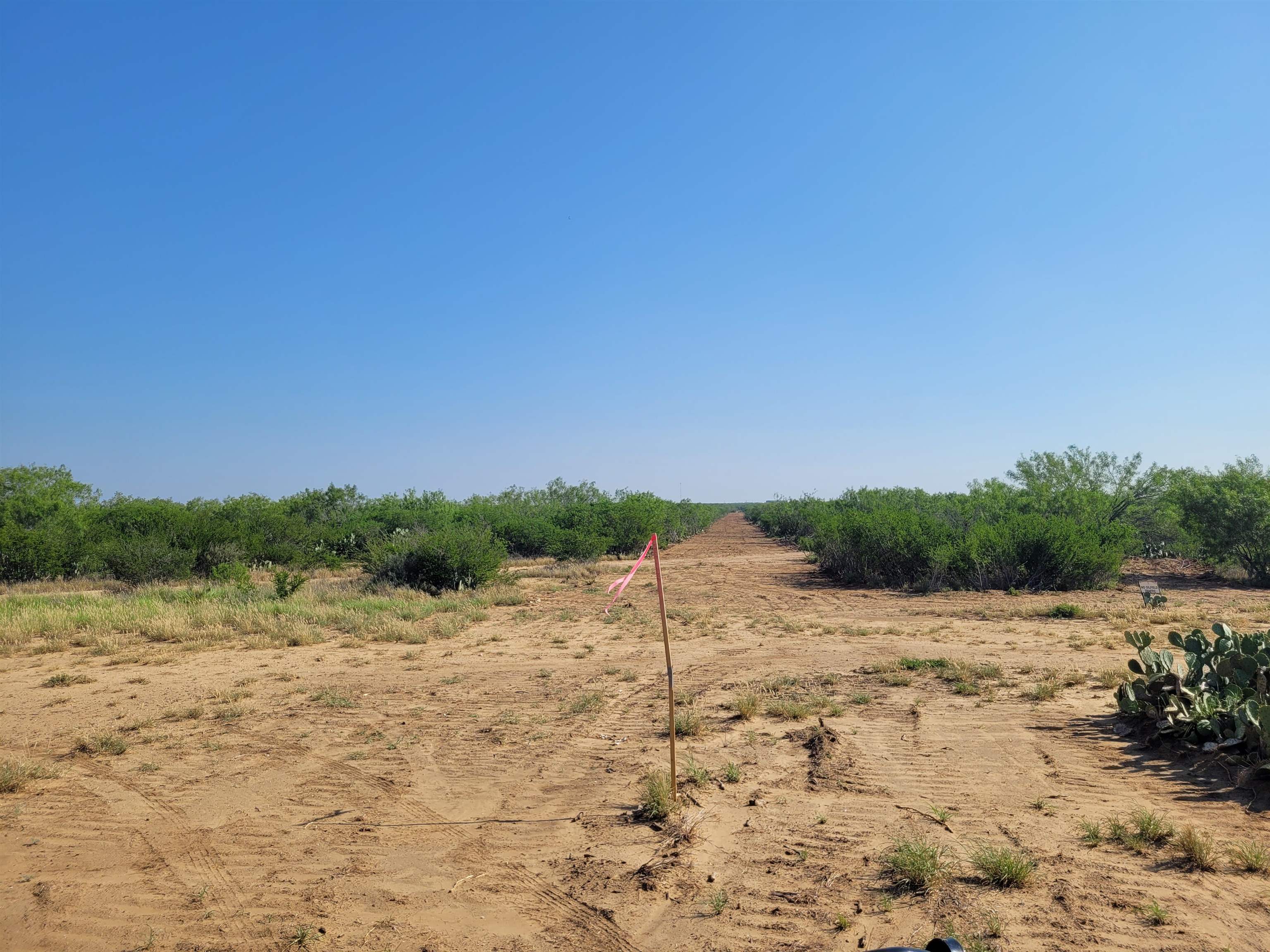 1000 U.s. Hwy 83 Property Photo 8