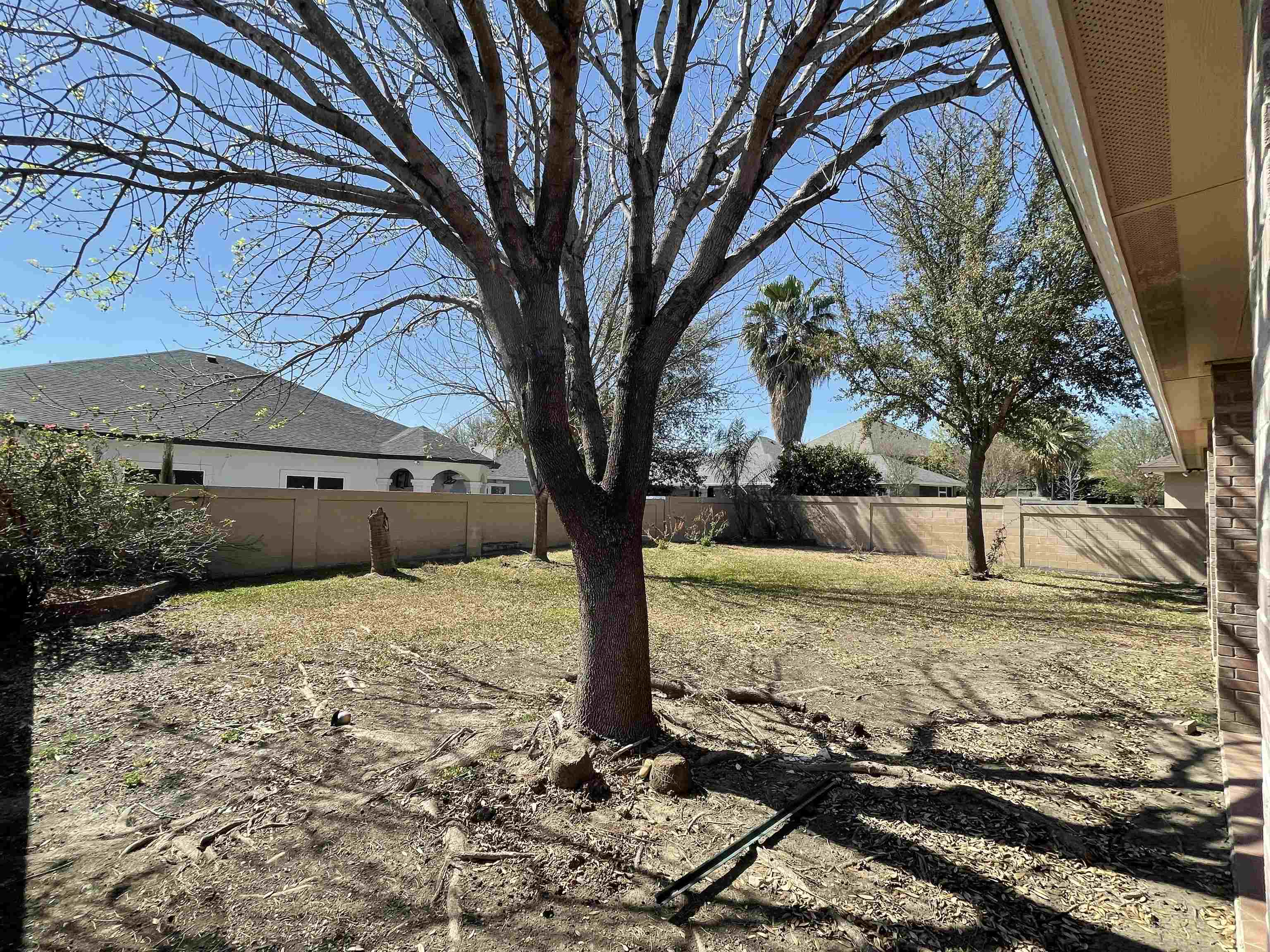10606 Cabo Wabo Dr Property Photo 24