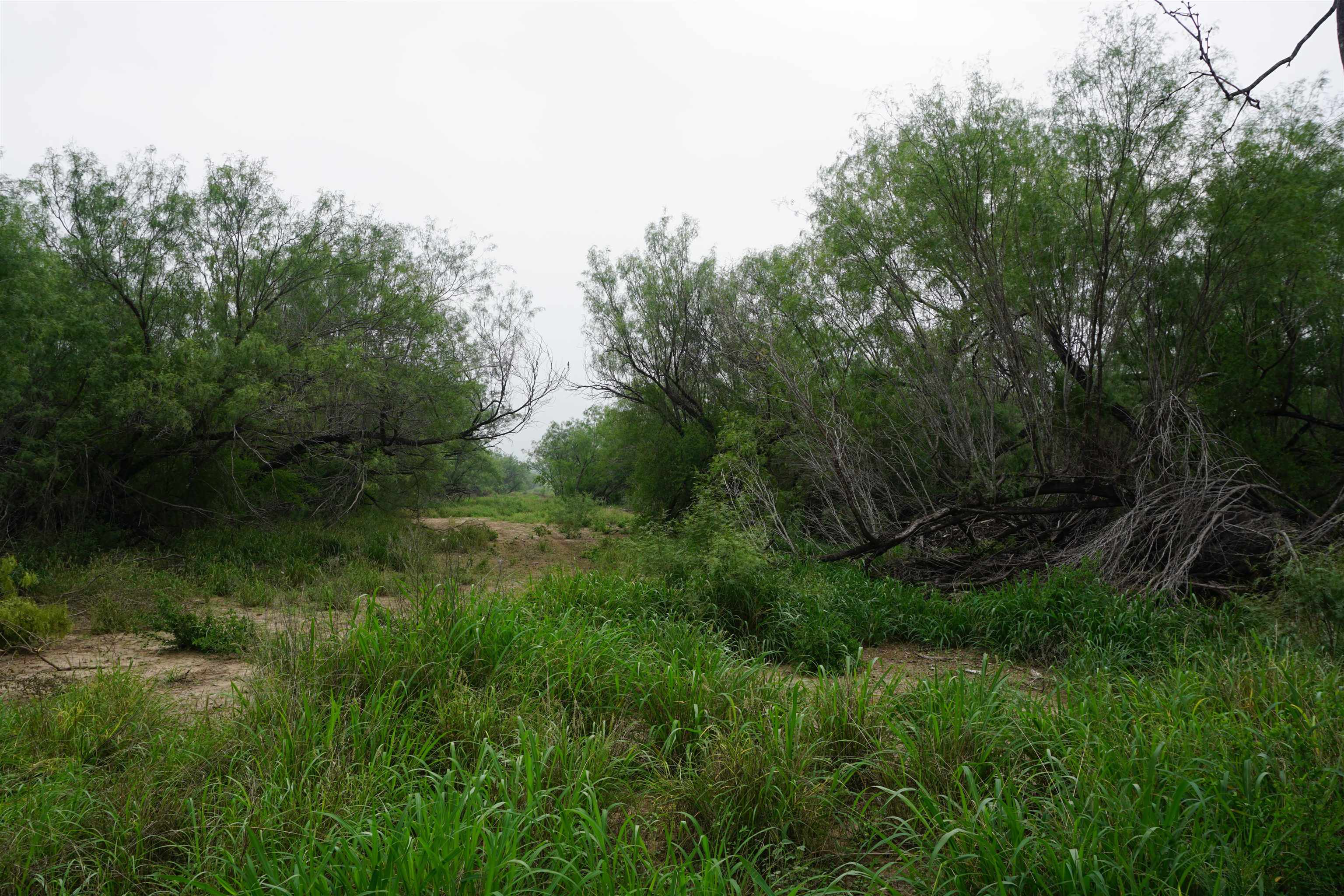 Abst 209 J V Borrego Grant Property Photo 3