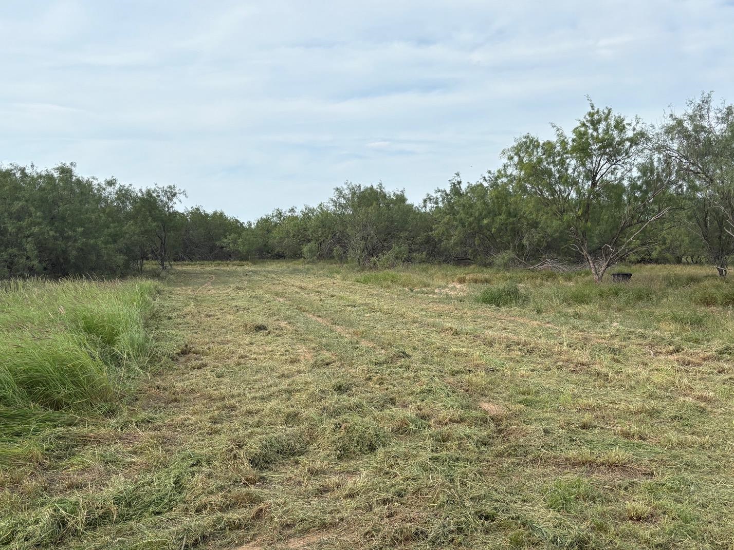 Abst 209 J V Borrego Grant Property Photo 5