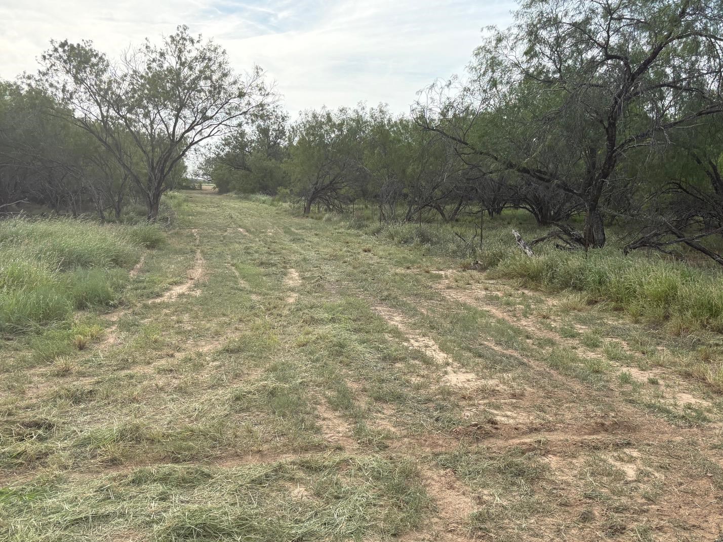 Abst 209 J V Borrego Grant Property Photo 7