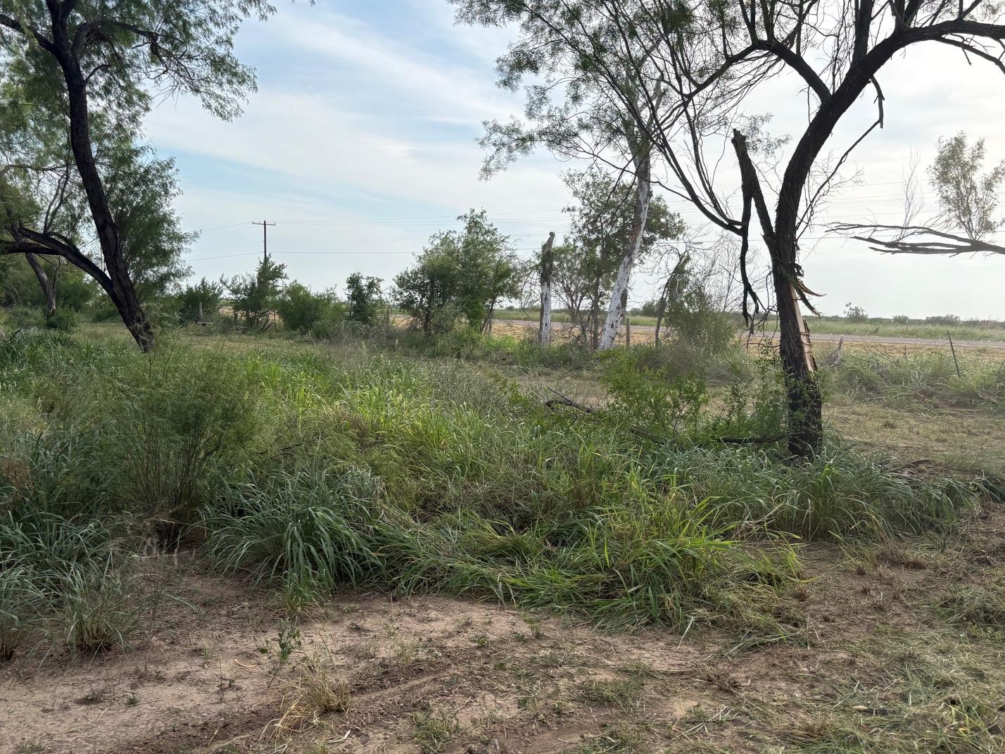 Abst 209 J V Borrego Grant Property Photo 10