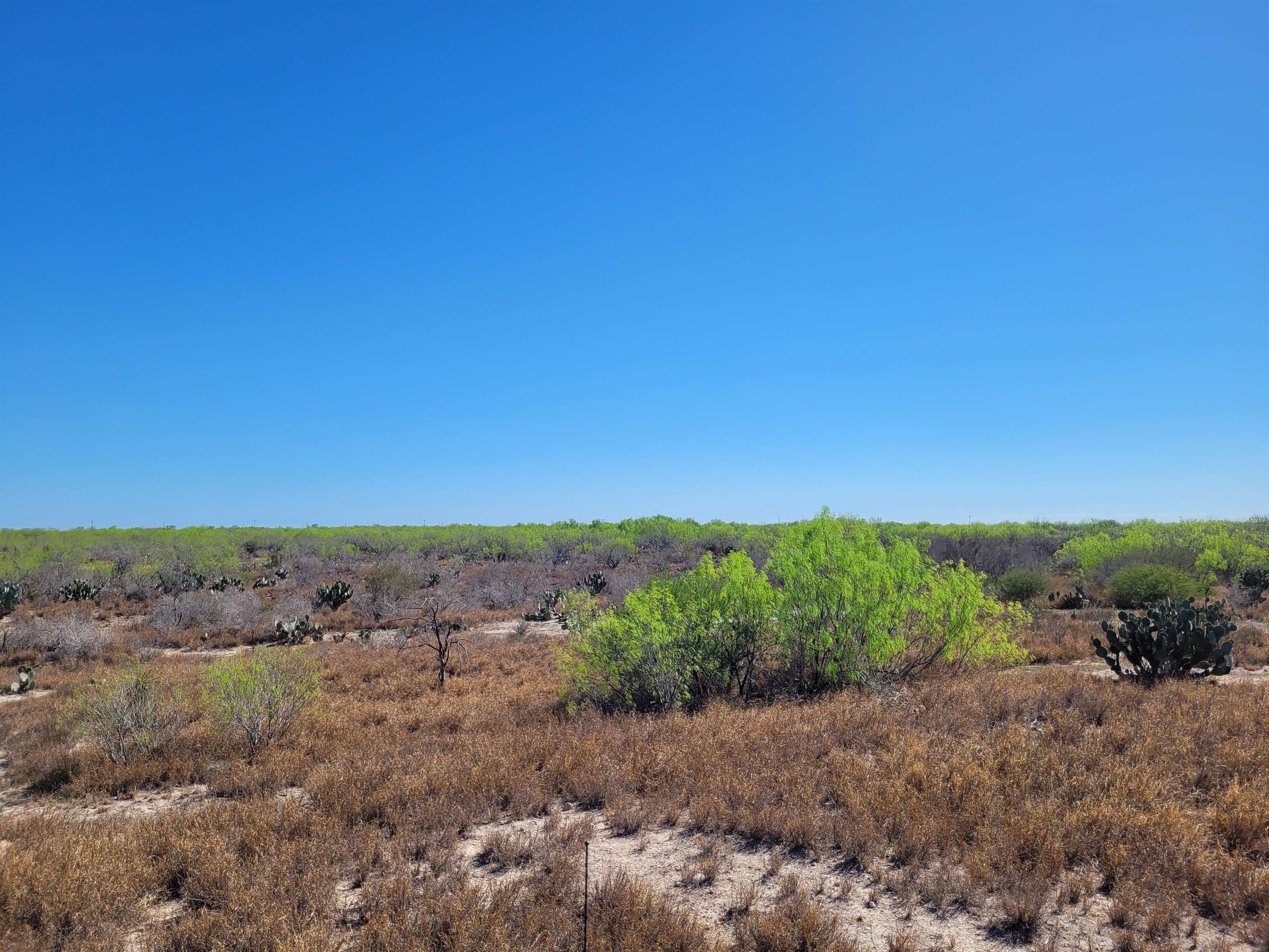 385 Ranch Road 7074c Property Photo 17