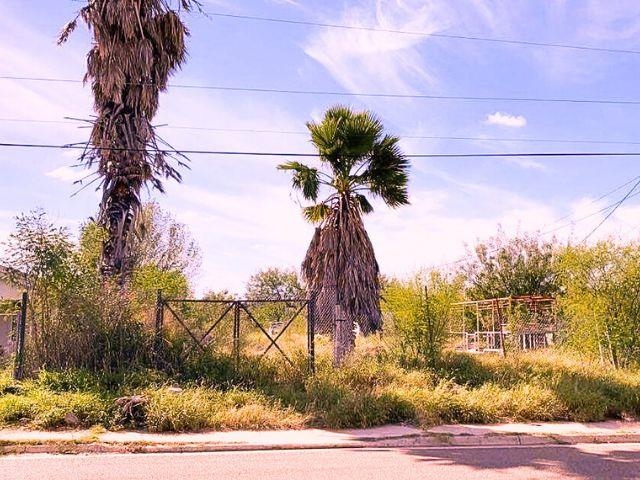 424 Morales Property Photo 1