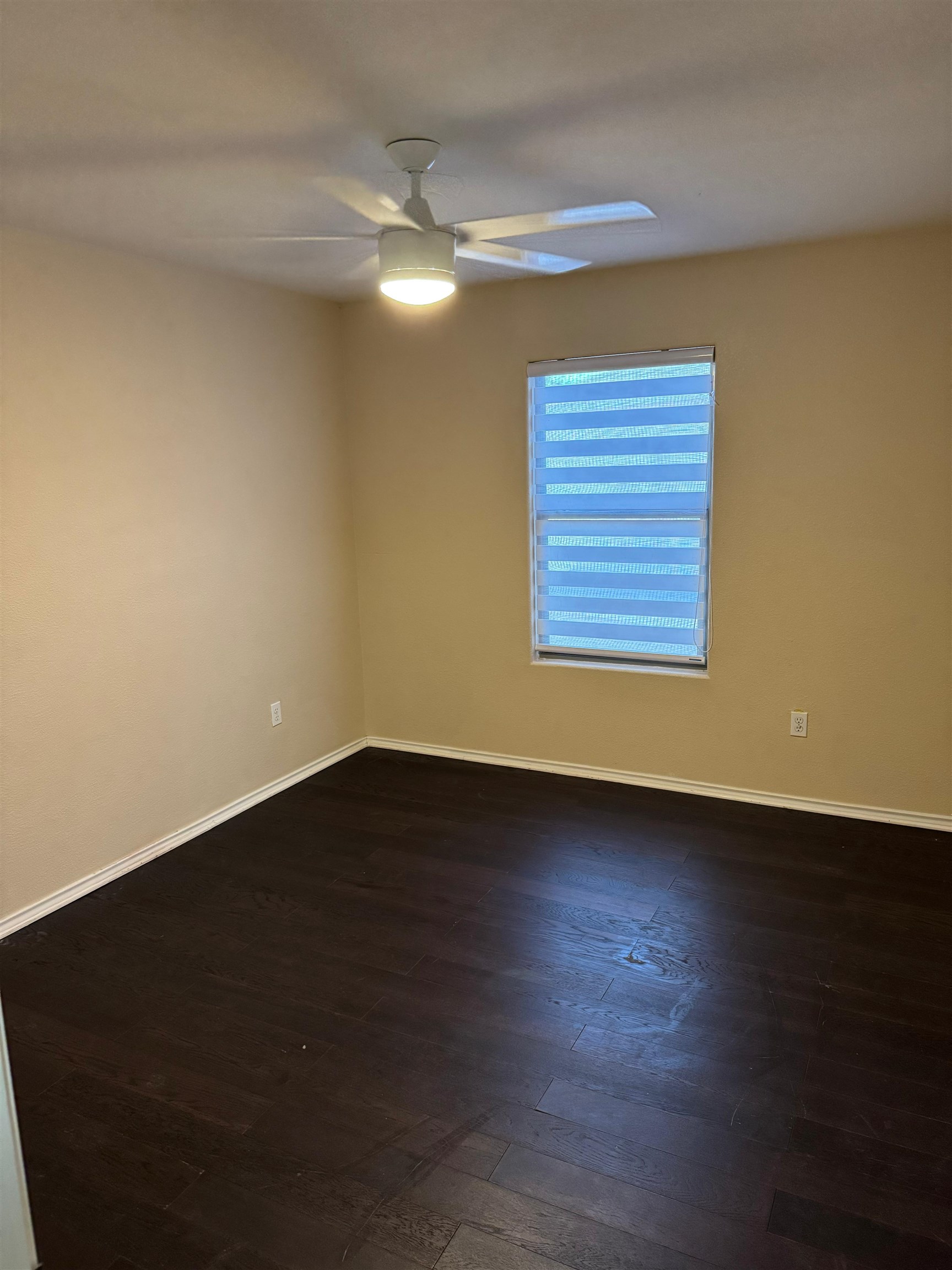 11146 Capistran Lp Property Photo 7