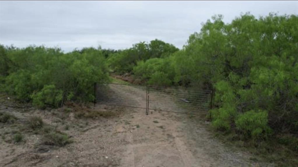 Abst 1439 Sur Property Photo 1
