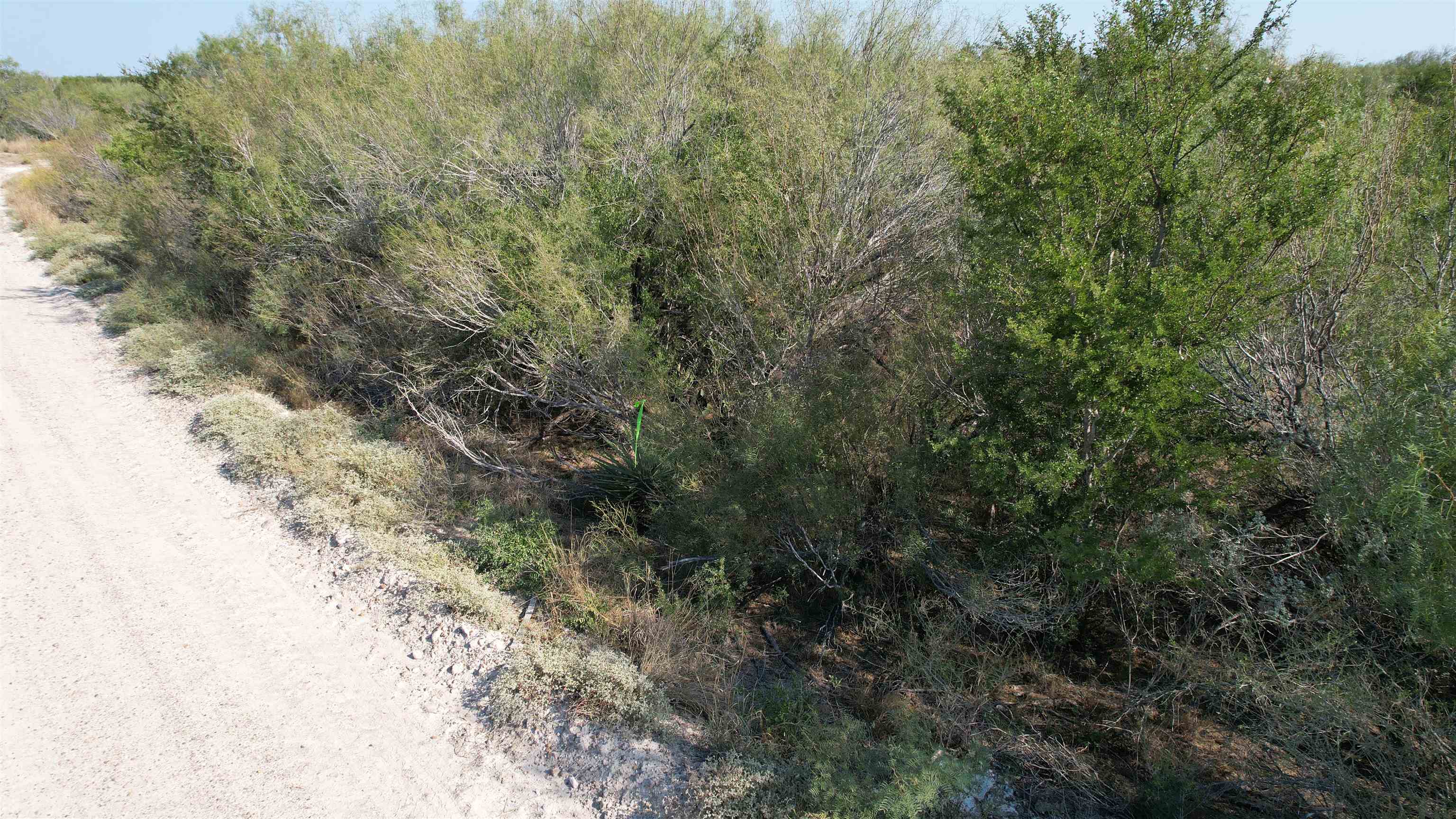 Abst 1439 Sur Property Photo 4