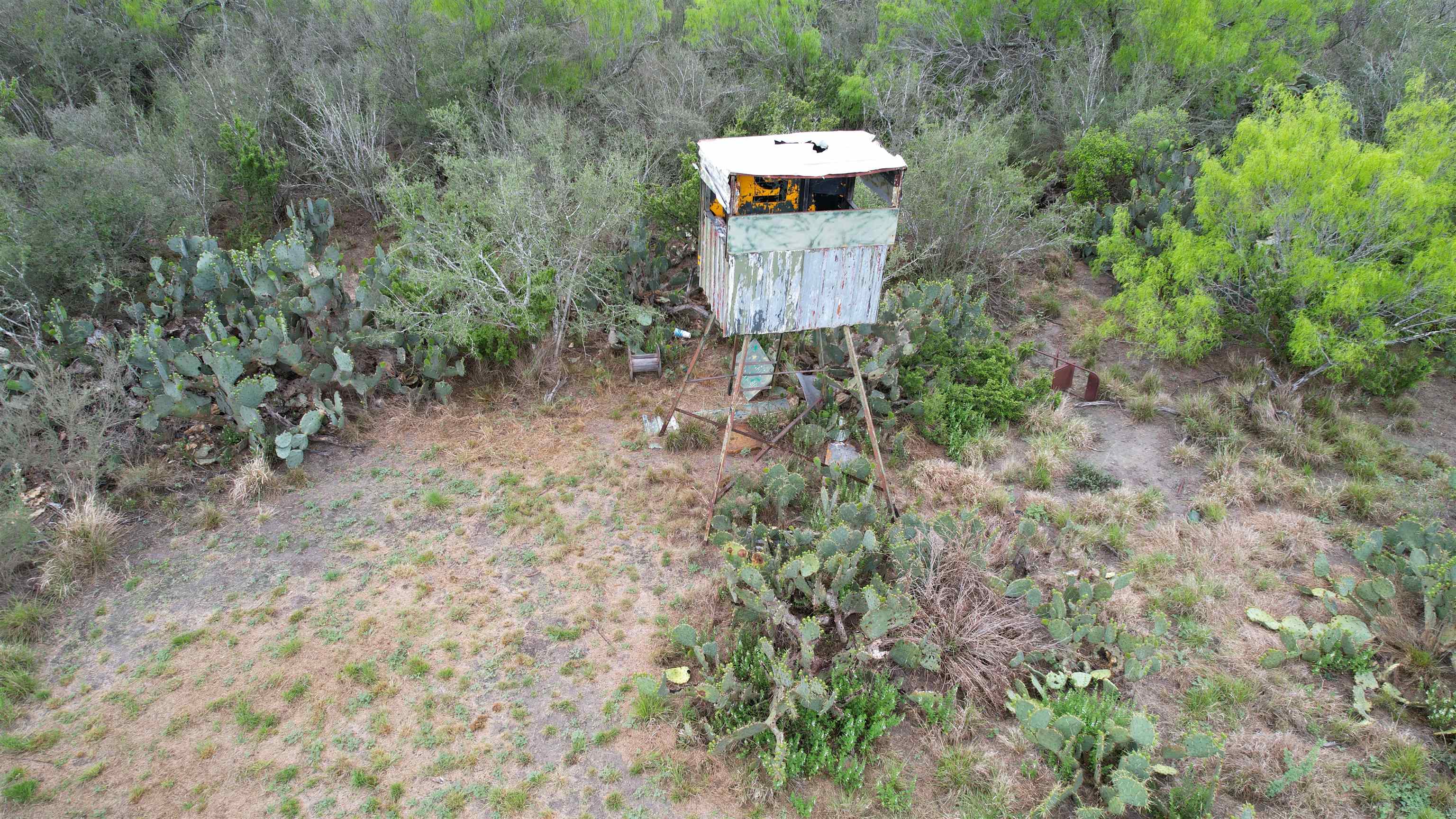 Abst 1439 Sur Property Photo 8