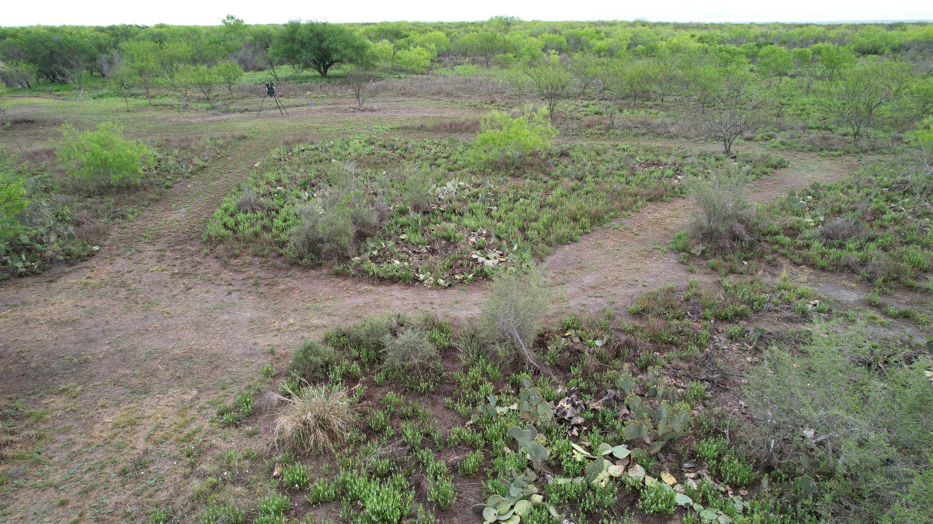 Abst 1439 Sur Property Photo 9