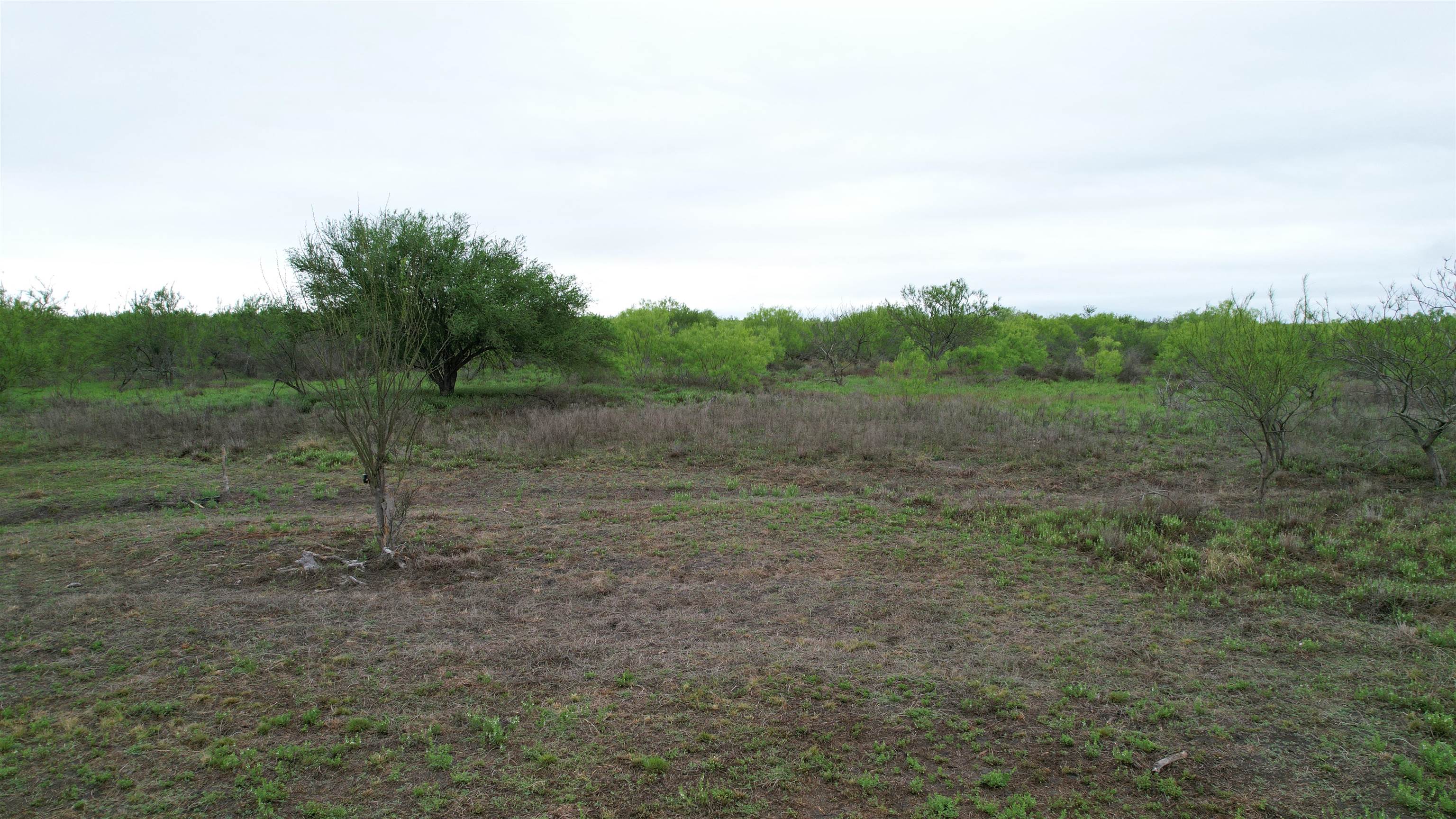 Abst 1439 Sur Property Photo 10