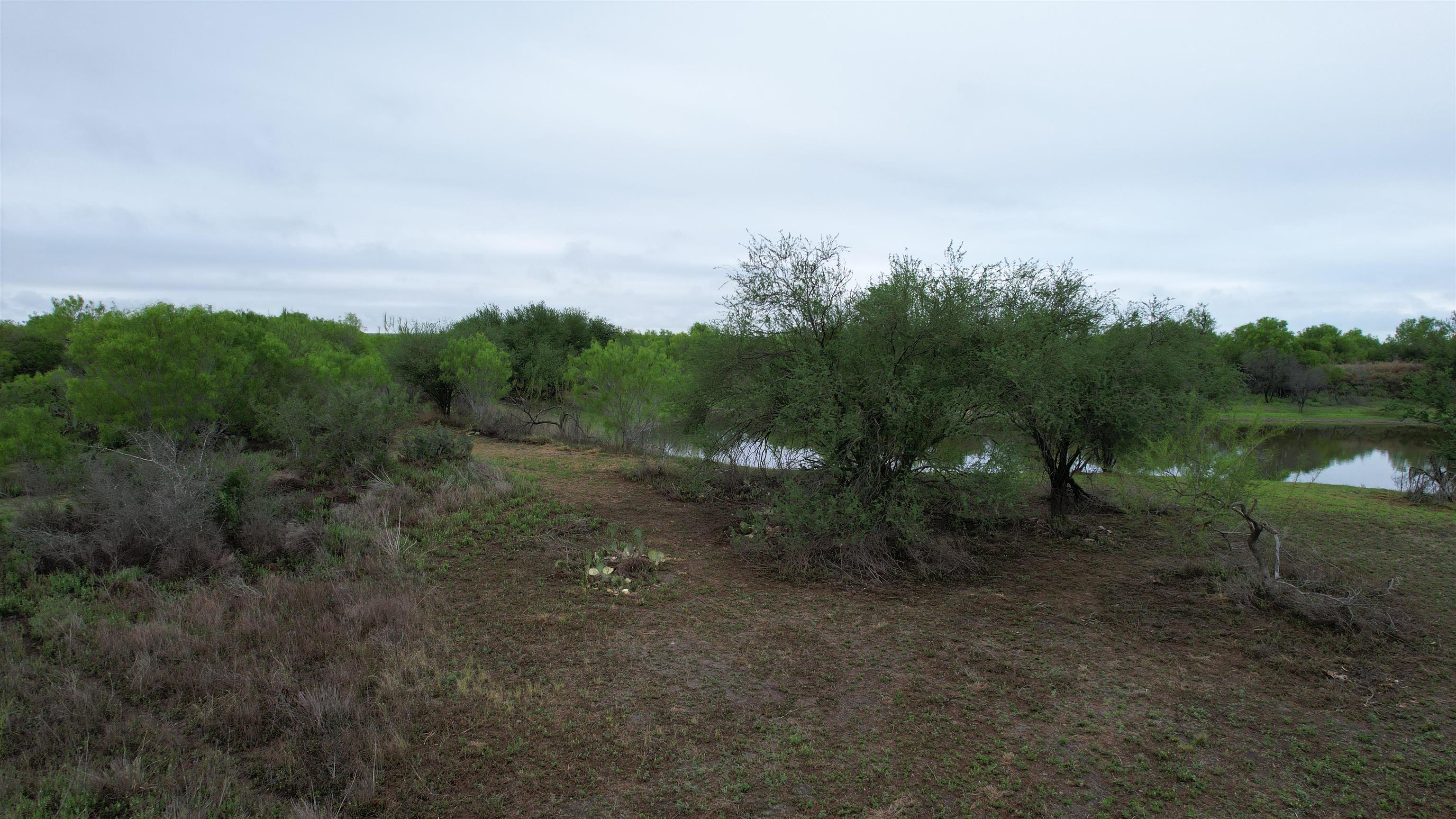 Abst 1439 Sur Property Photo 11