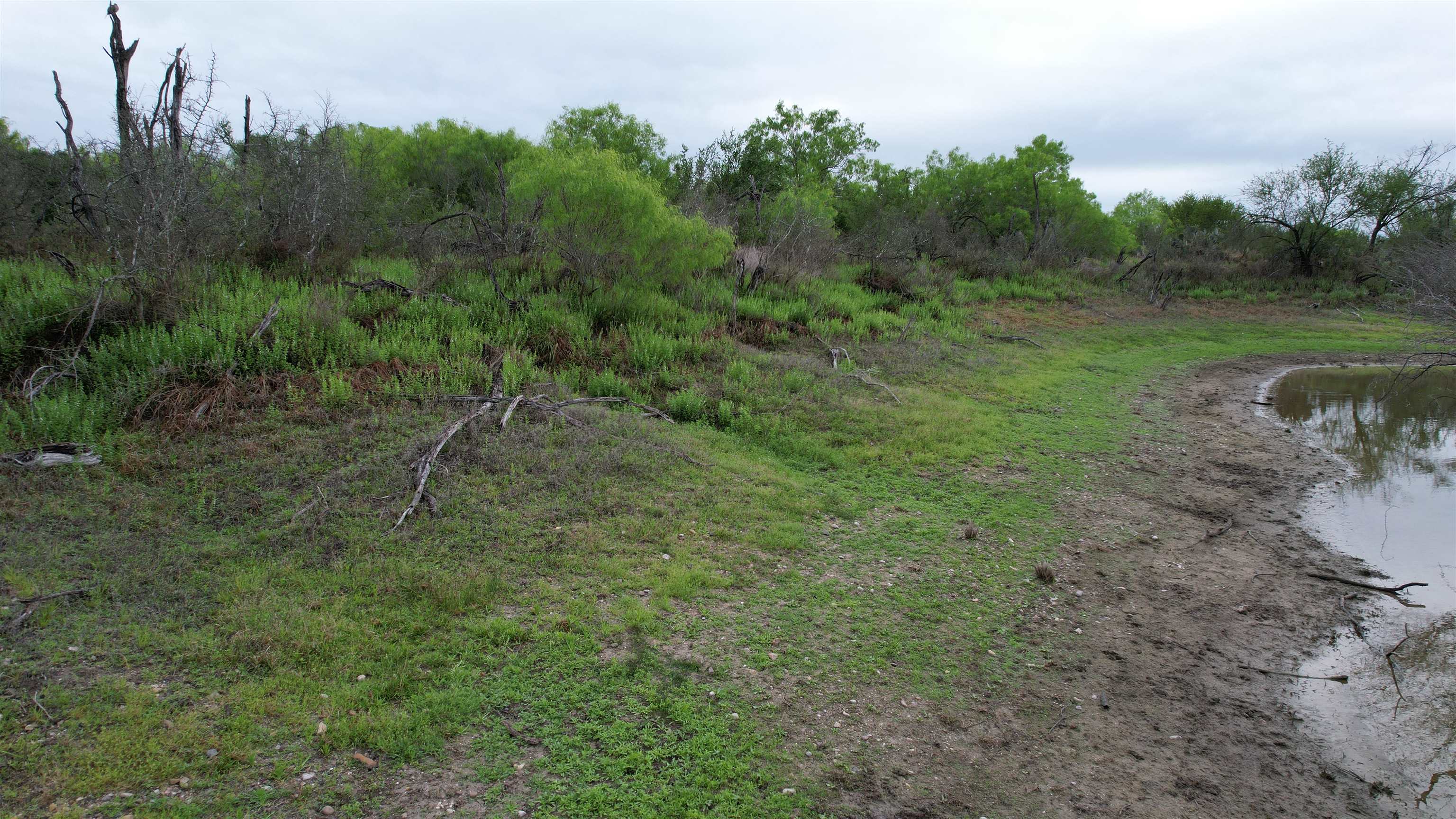 Abst 1439 Sur Property Photo 18