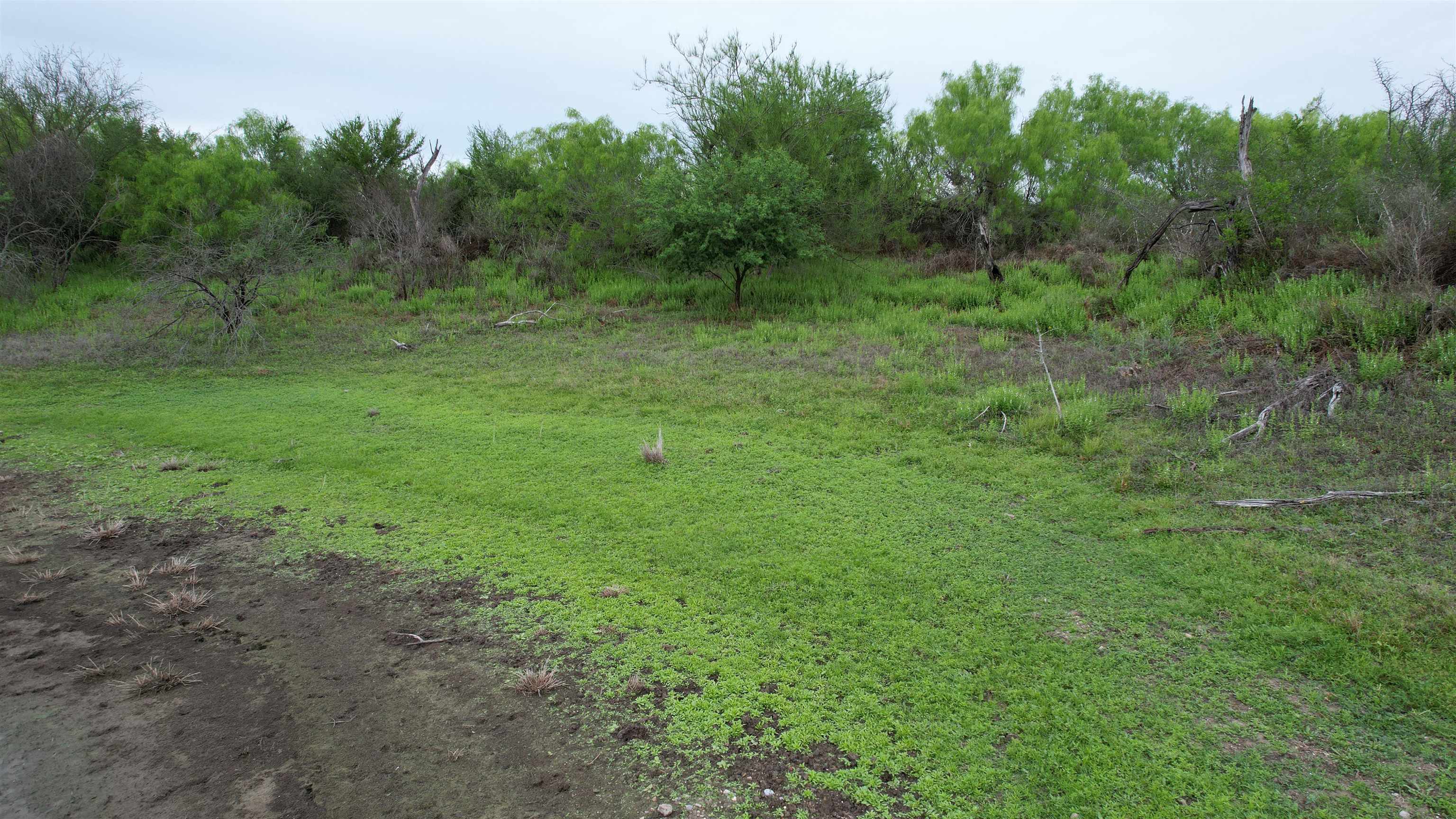 Abst 1439 Sur Property Photo 19