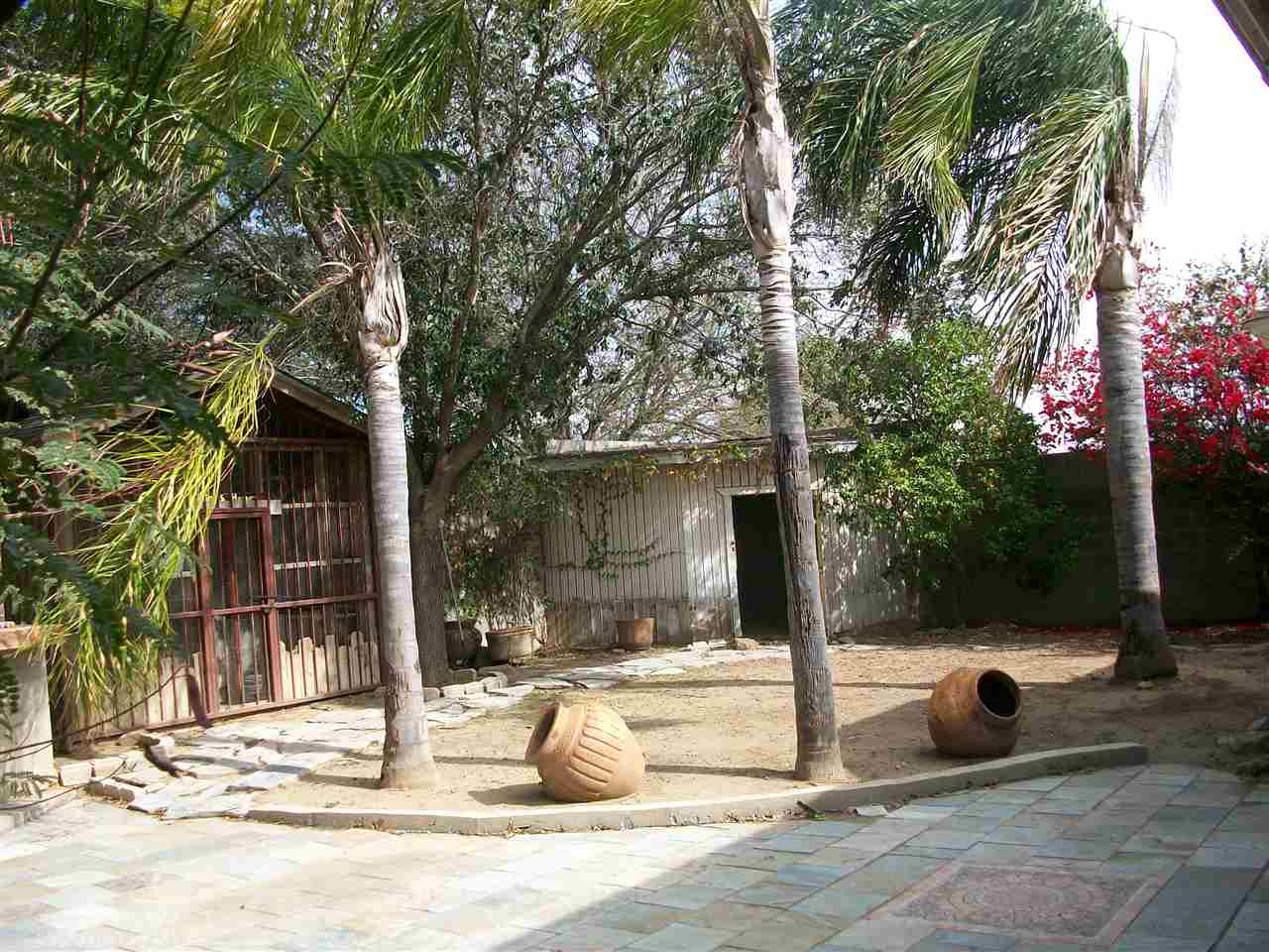 3916 Calle Guadalajara Property Photo 11