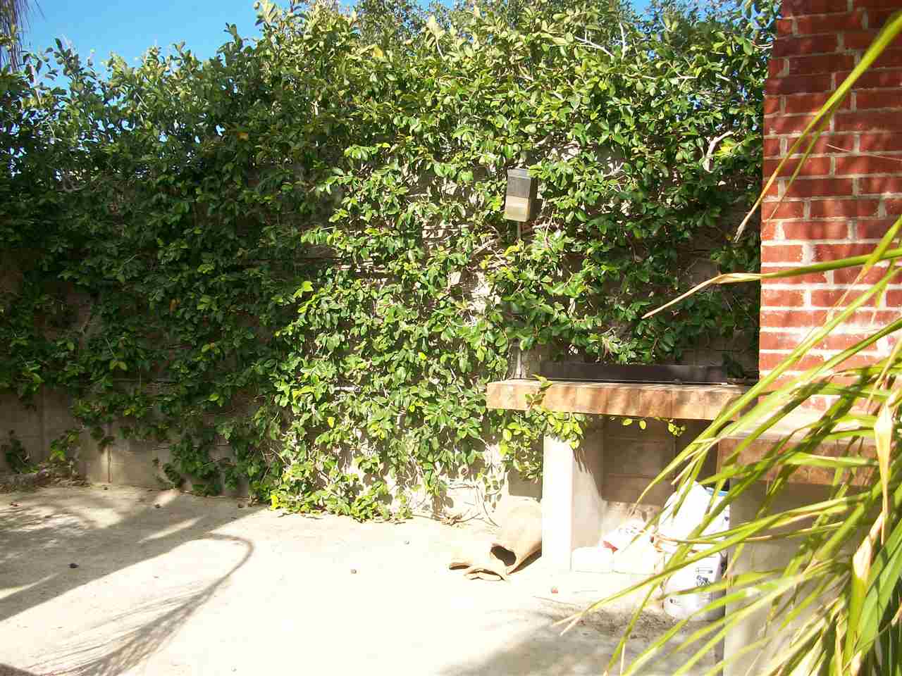 3916 Calle Guadalajara Property Photo 13
