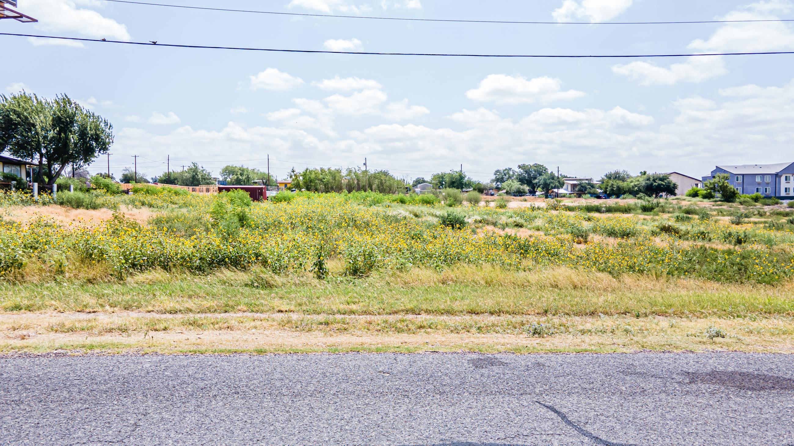 3511 Us Highway 83 Property Photo 1