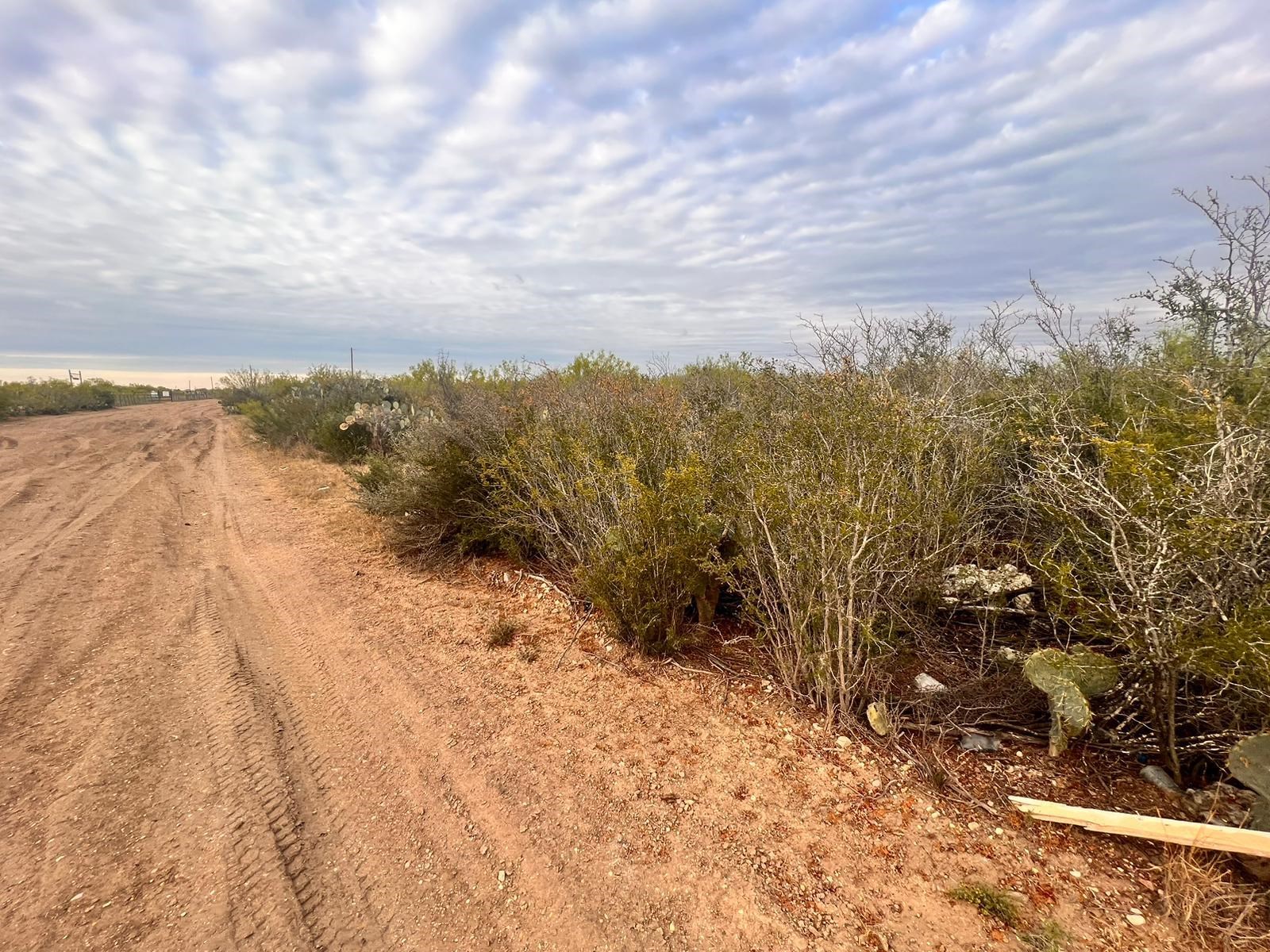 1 Acre Tract 17 Las Pilas Rd. Property Photo 1