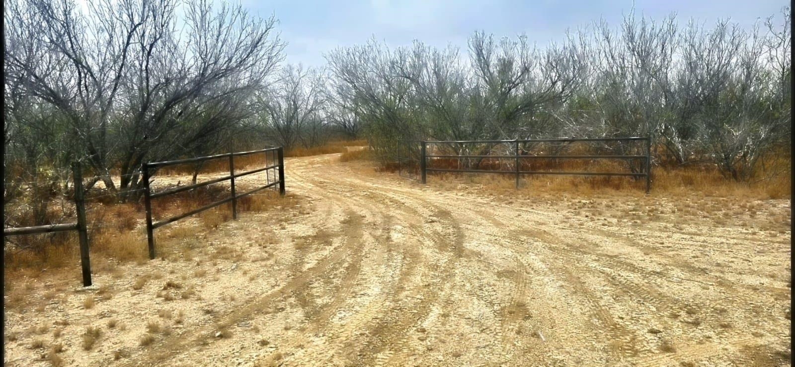 OUT OF AREA